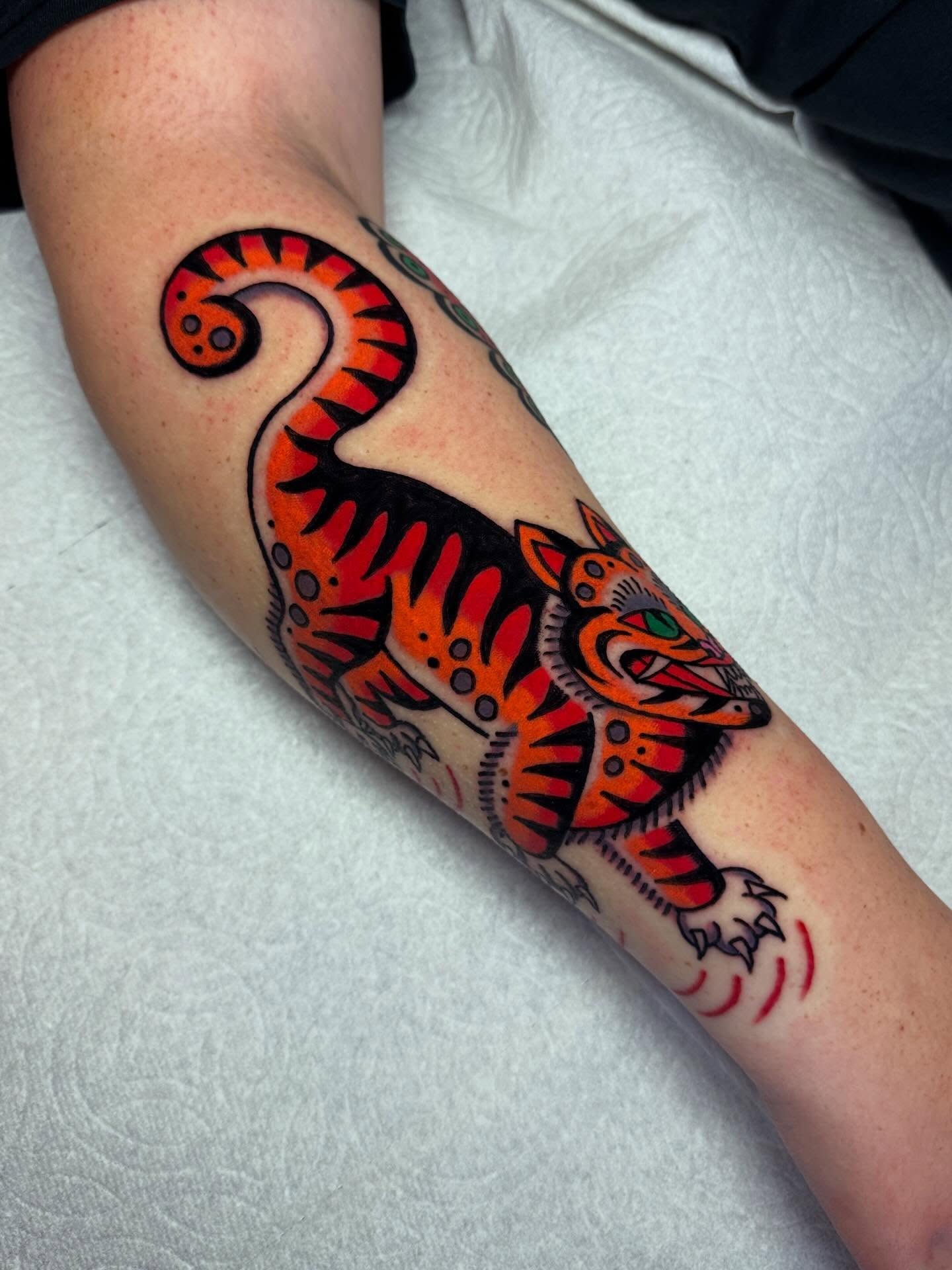 Tiger American traditional tattoo on the forearm by Britt Kuechenmeister, Culver City, California