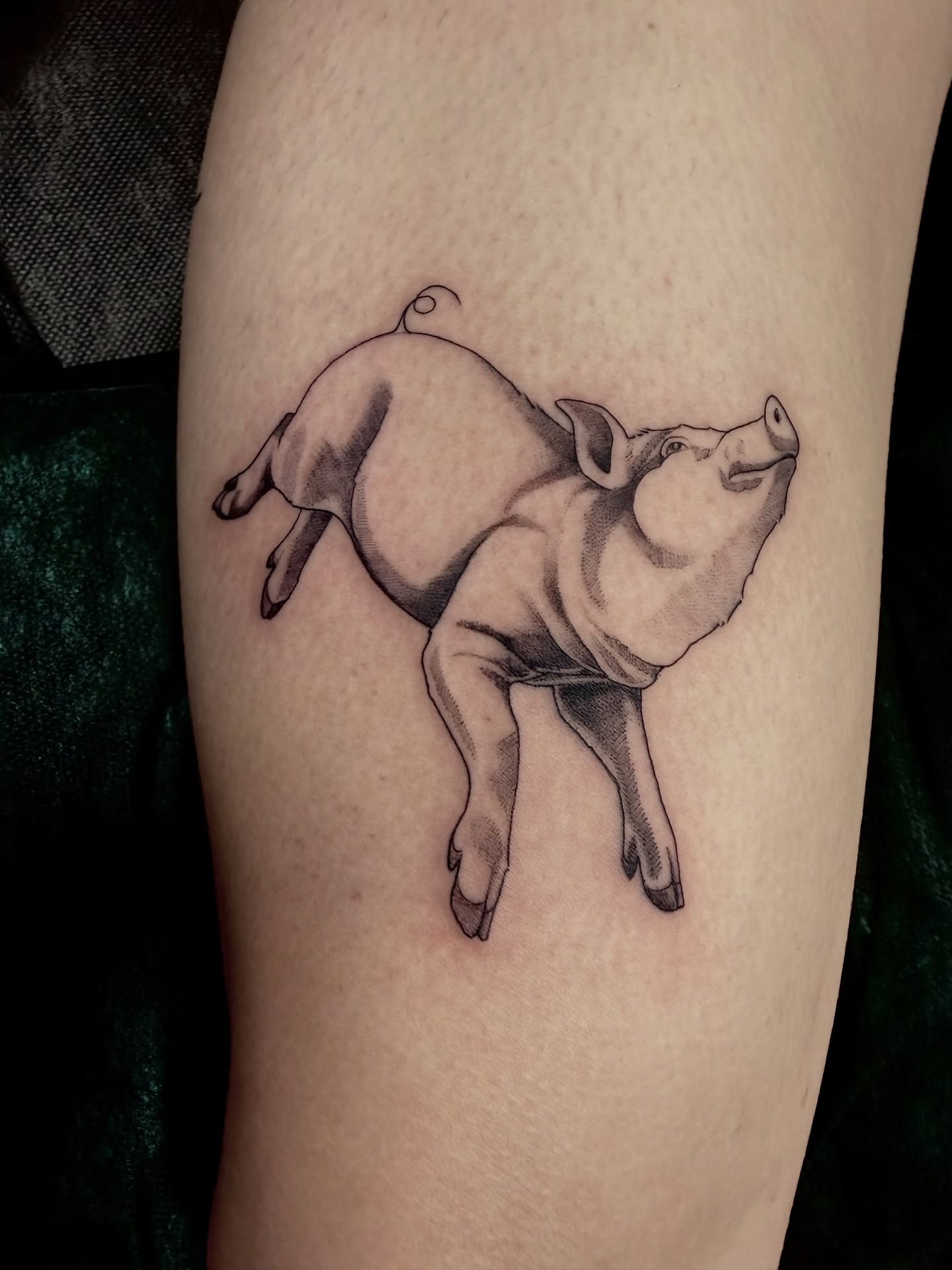 Pig black and grey tattoo on the thigh by Lydia Jude