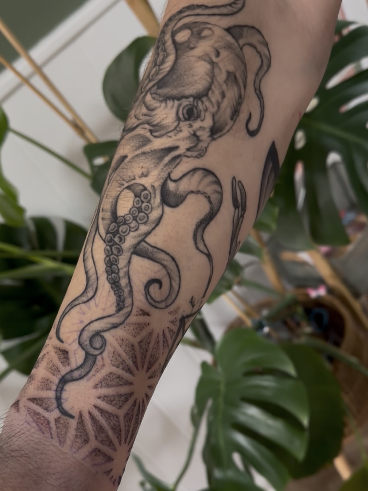 Octopus realism tattoo on the forearm by Allexis
