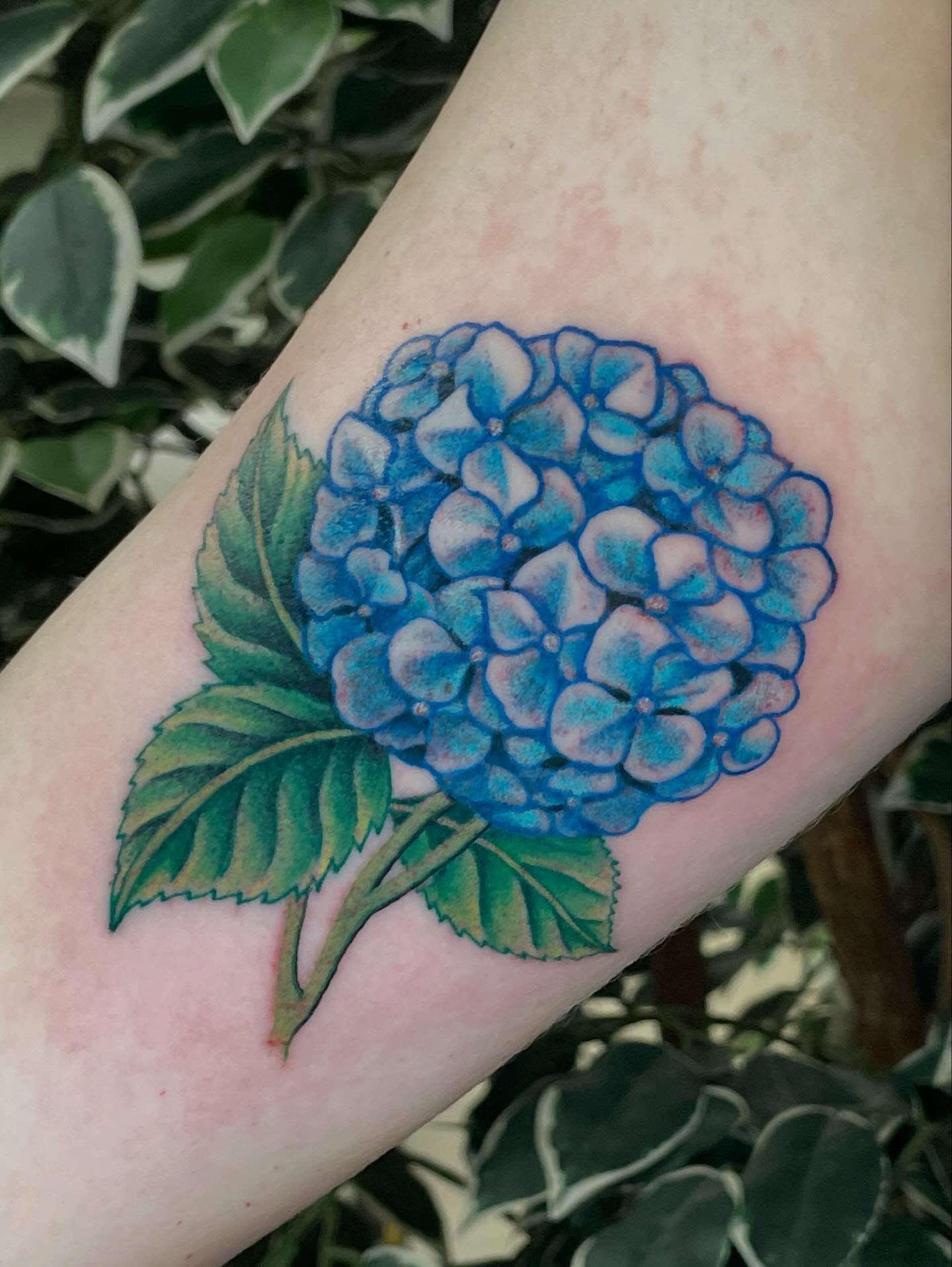 Hydrangea realism tattoo on the forearm by Michael Joy