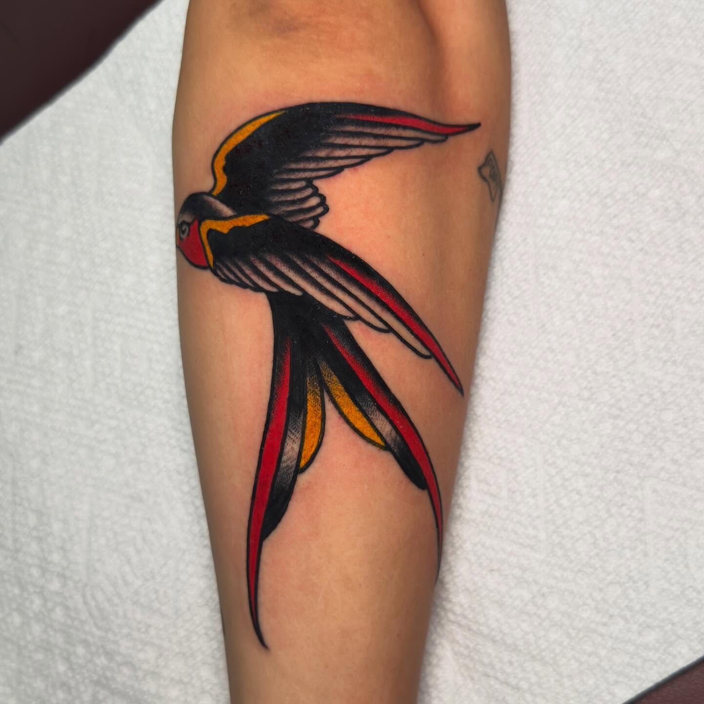 Swallow American traditional tattoo on the forearm by 𝐬𝐚𝐬𝐡𝐚 𝐯𝐚𝐧𝐝𝐚𝐥, Nashville, Tennessee