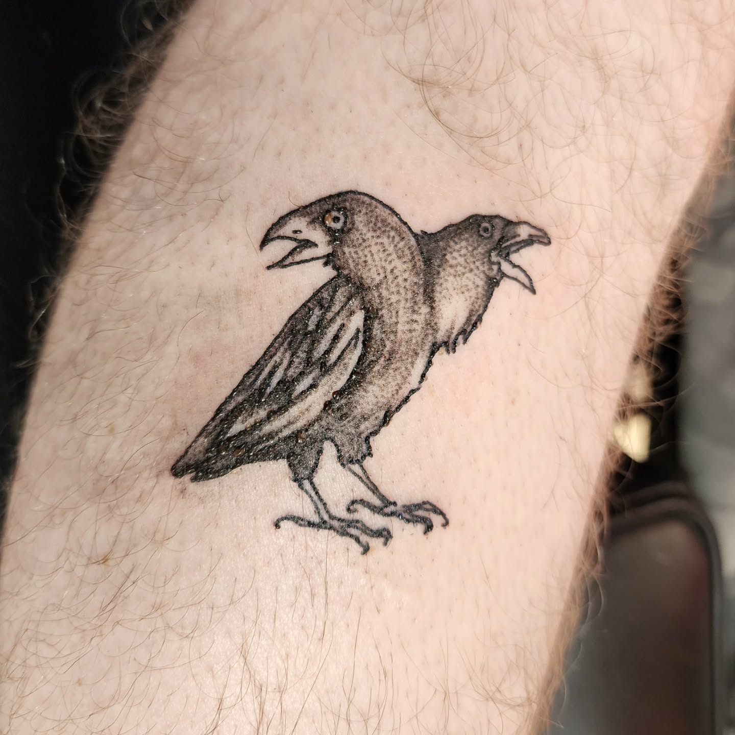 Ravens black and grey tattoo on the forearm by K.F. Golden