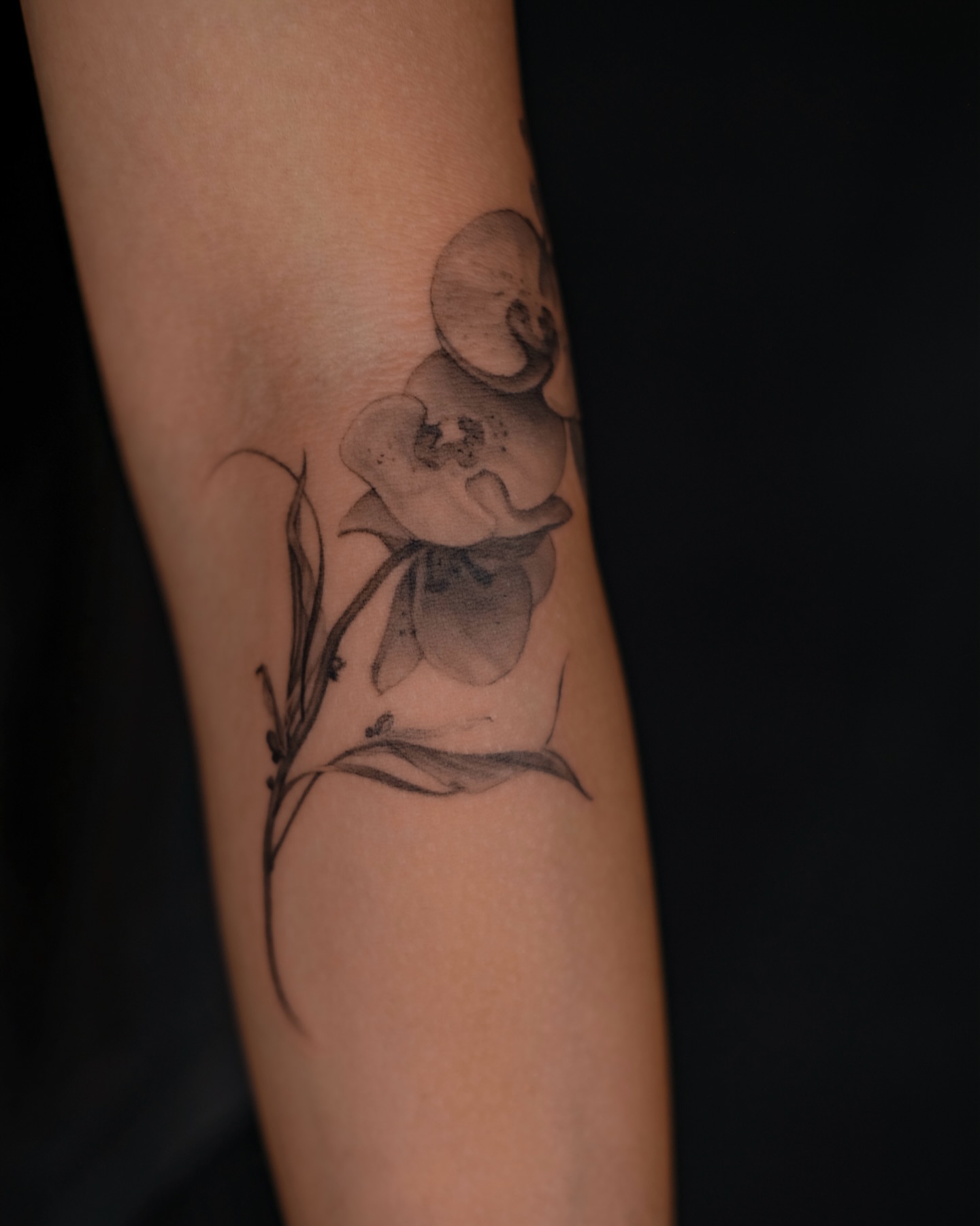 Tattoo by @meutattoo — black_and_grey