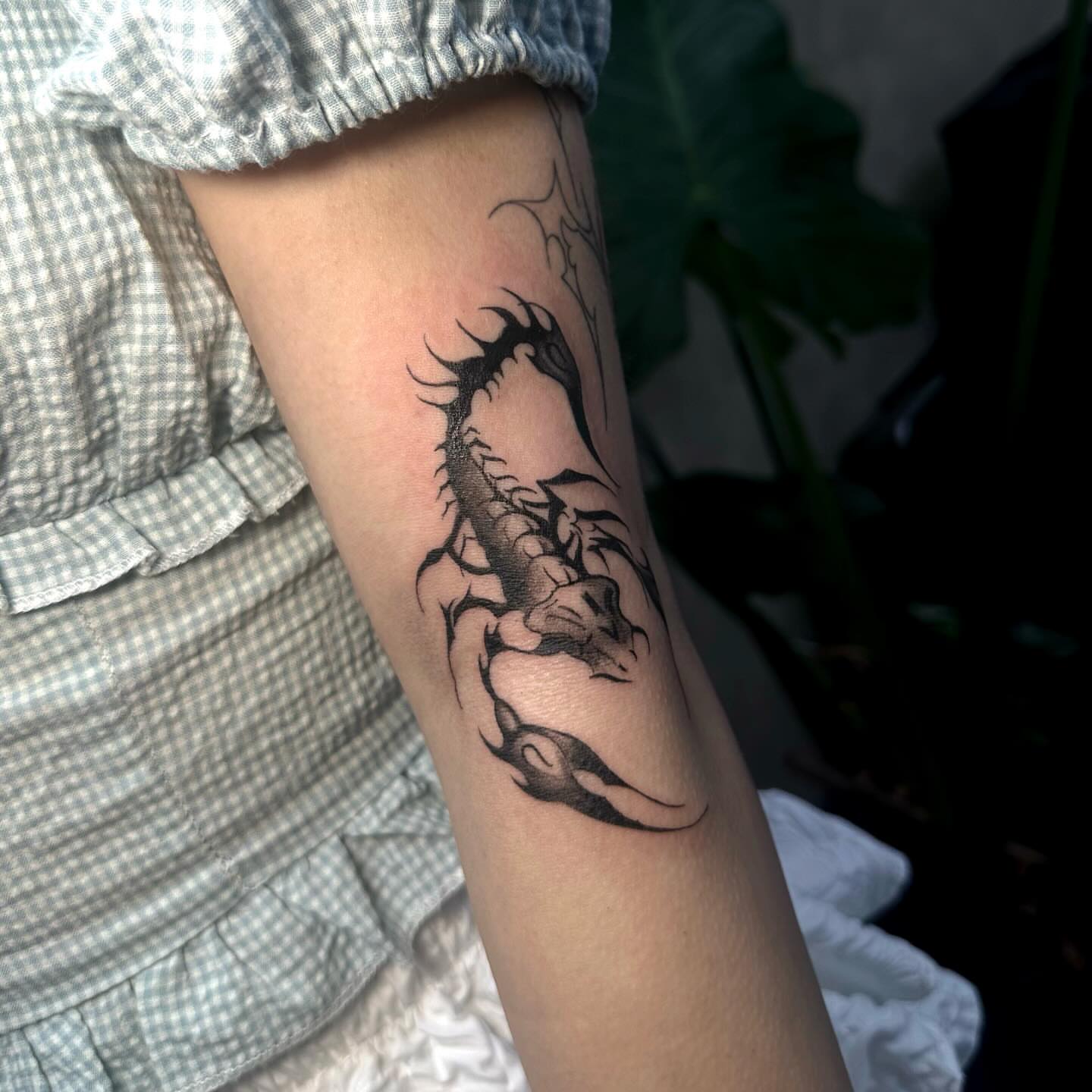 Scorpion black and grey tattoo on the forearm by Liv