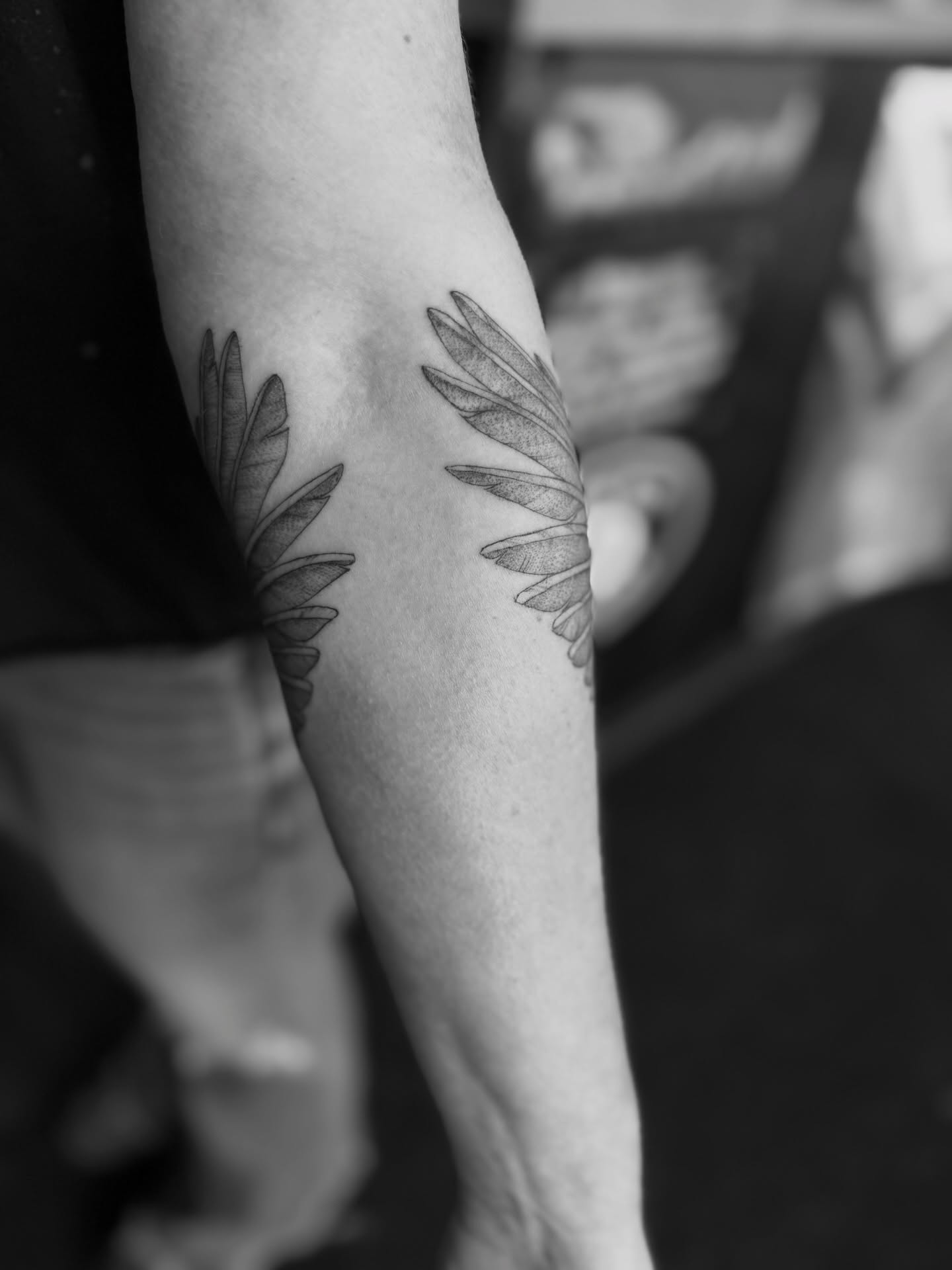 Feather black and grey tattoo on the forearm by Alex Brooke