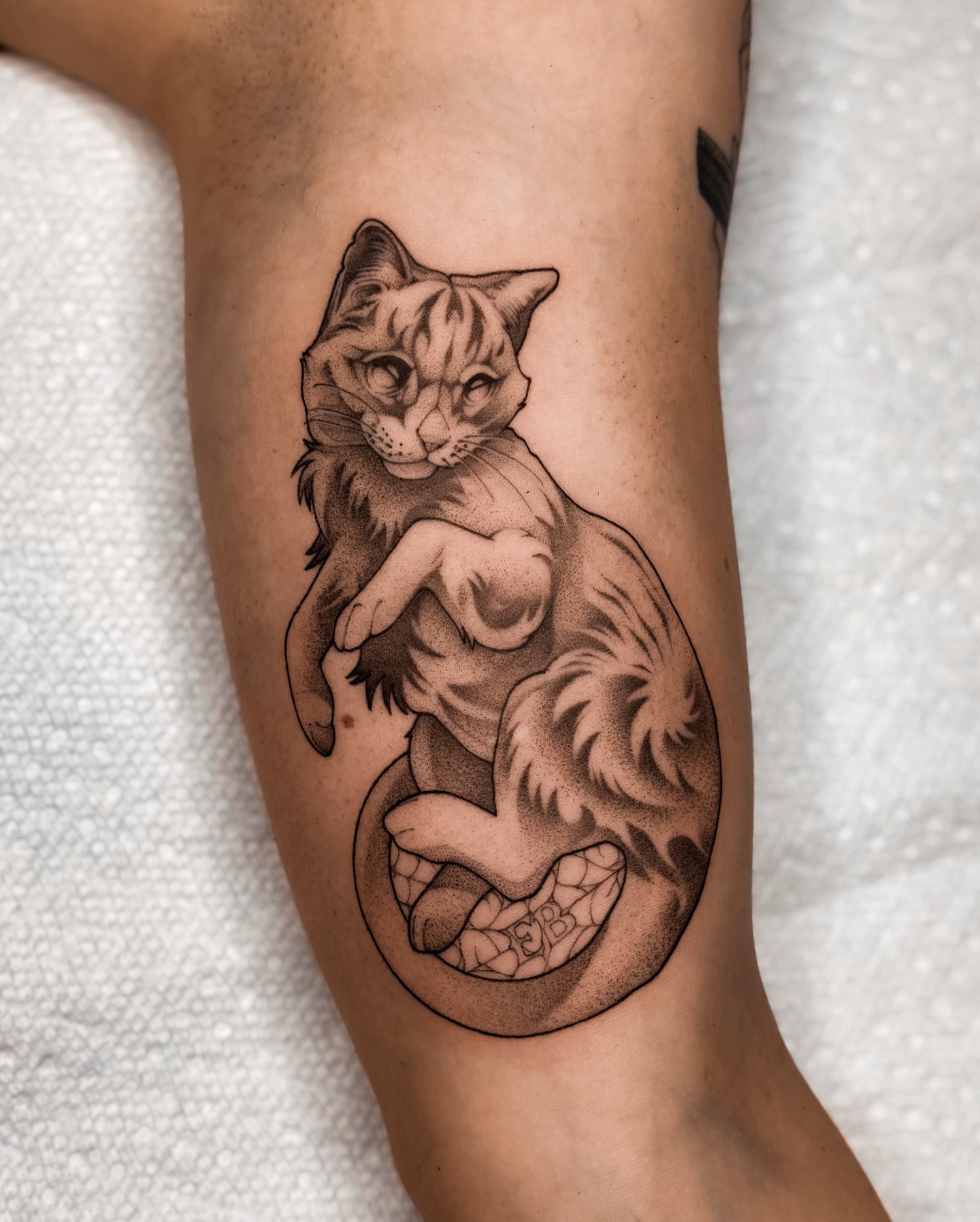 Cat dotwork tattoo on the forearm by 𝔍𝔞𝔯𝔢𝔡 𝔞𝔩𝔩𝔢𝔫