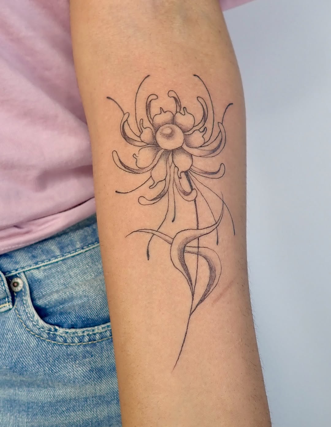 Spider lily flower fine line tattoo on the forearm by thalia