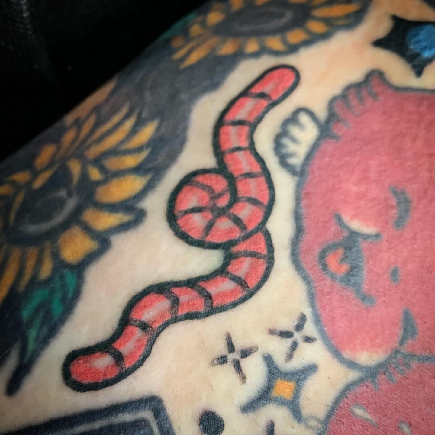 Worm American traditional tattoo on the forearm by Los Angeles Tattoo Artist