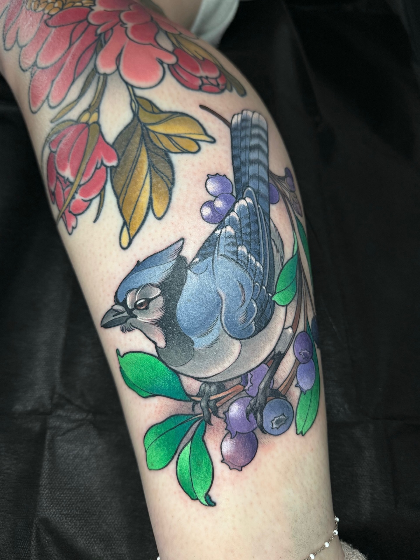 Blue jay and berries realism tattoo on the thigh by Anne Cornelson