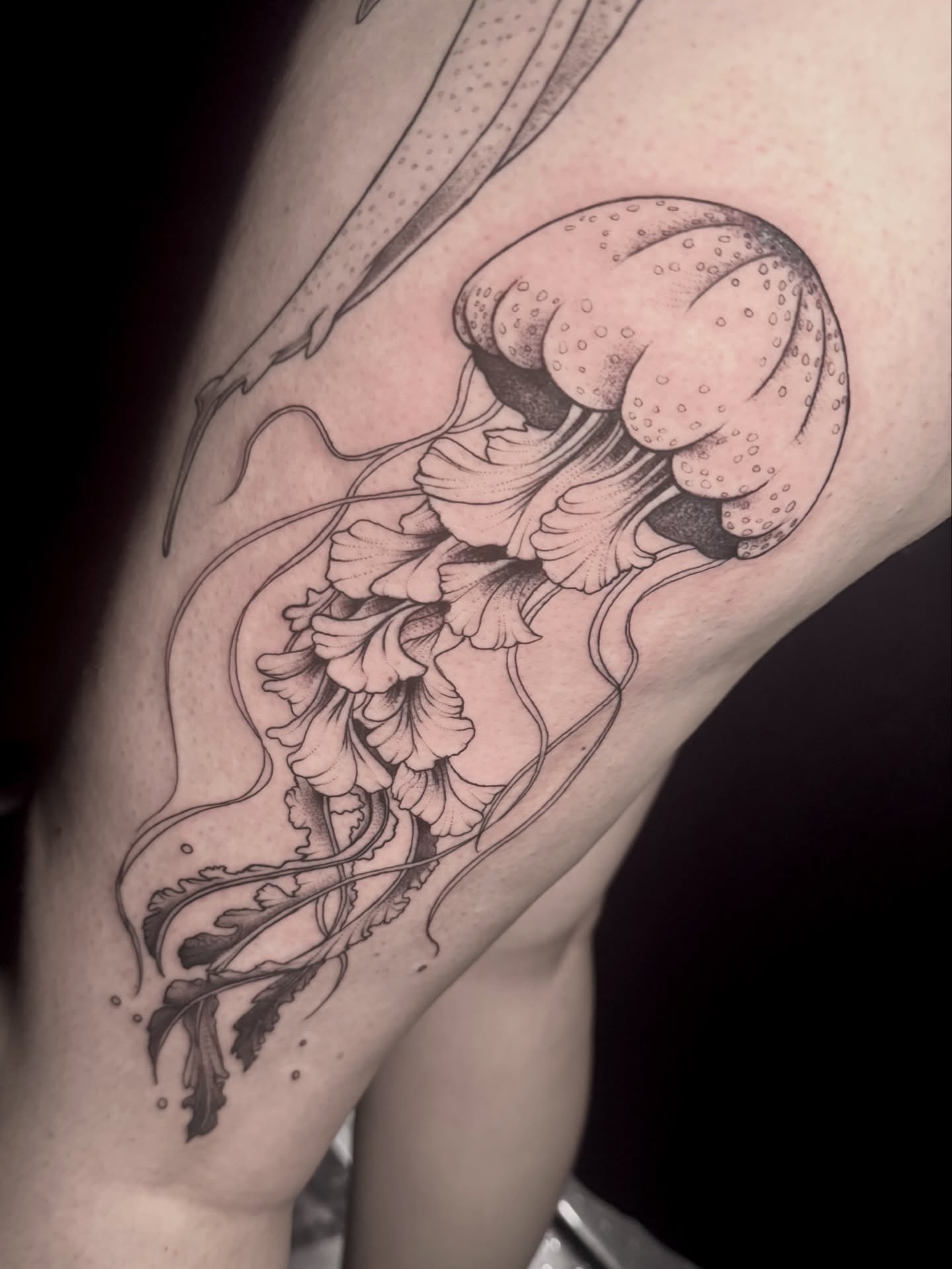 Jellyfish black and grey tattoo on the thigh by Dante Singh