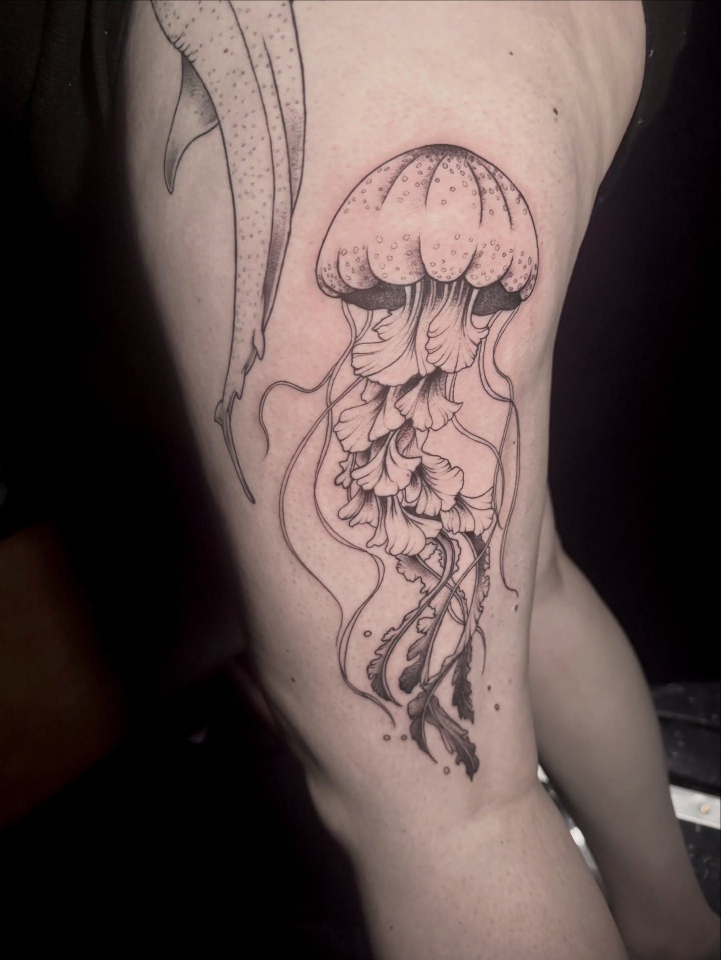 Jellyfish black and grey tattoo on the thigh by Dante Singh