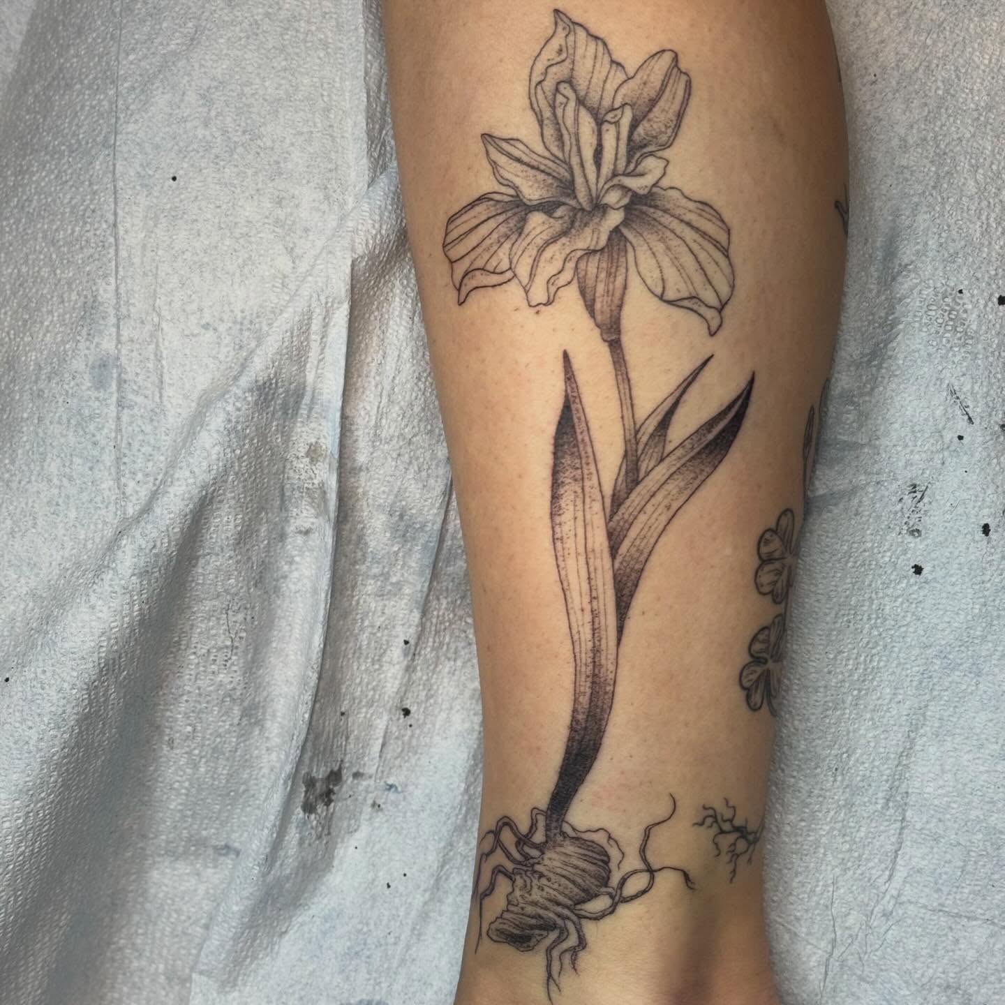 Tattoo by @rev.claytattooer — black_and_grey
