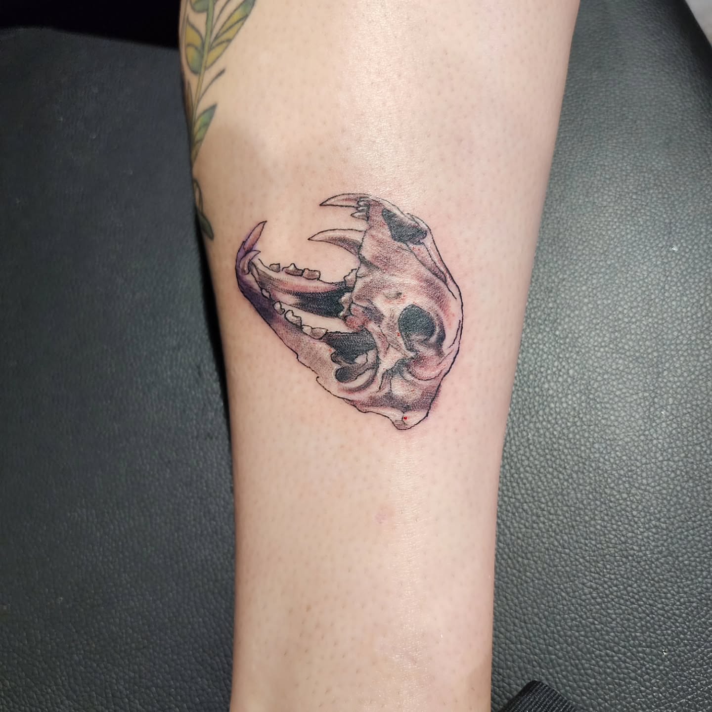 Skull realism tattoo on the forearm by Joe Garcia