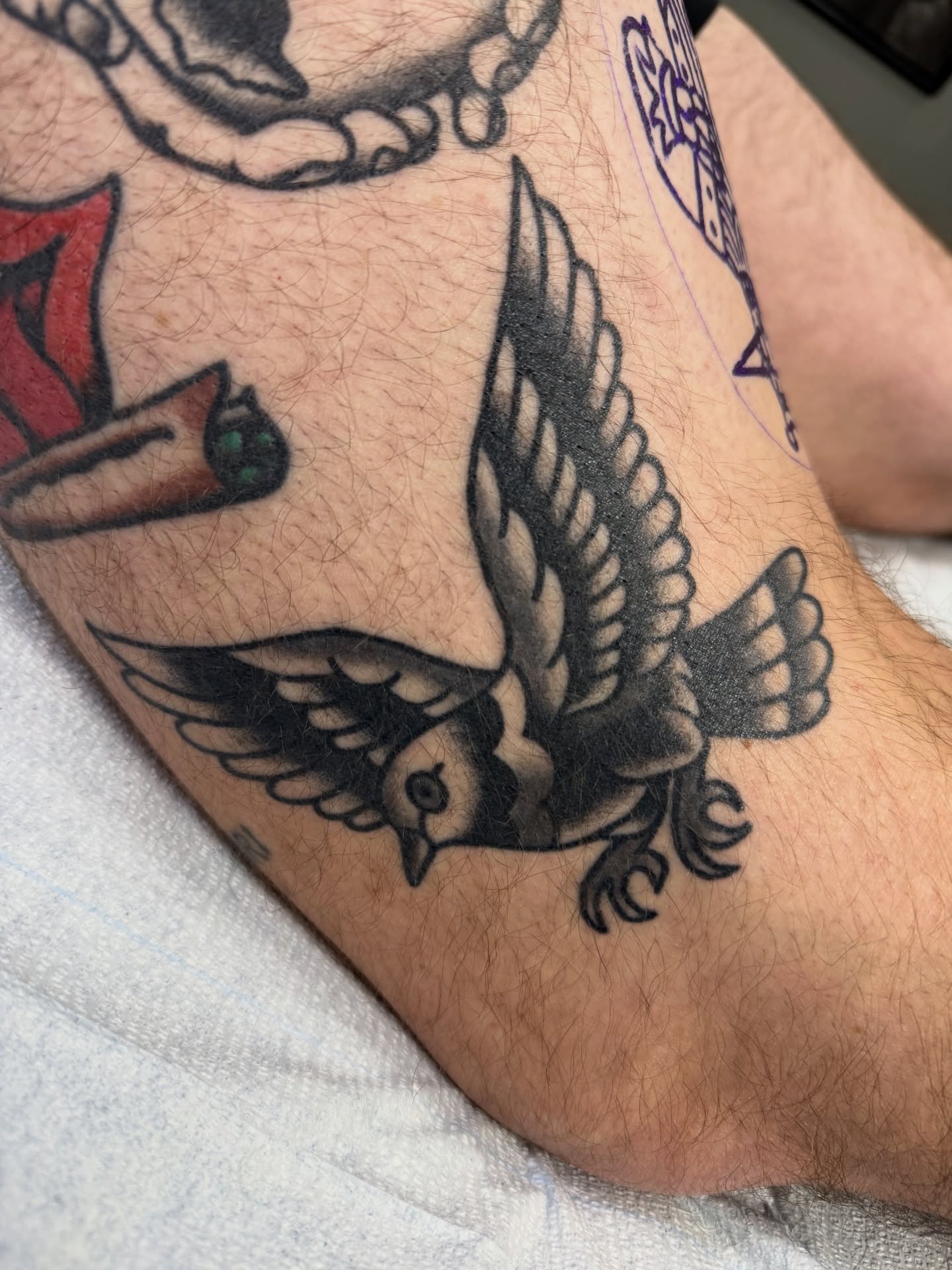 Bird American traditional tattoo on the forearm by VAY