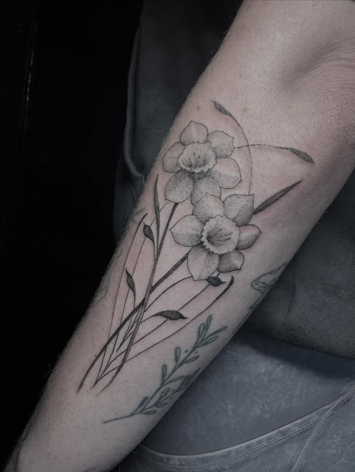 Daffodils black and grey tattoo on the forearm by Cassandra Colleen