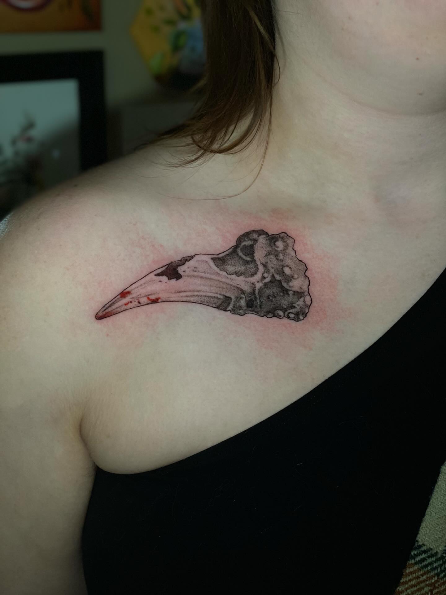 Bird skull realism tattoo on the shoulder by Olivia Scott - Kansas Tattoo Artist