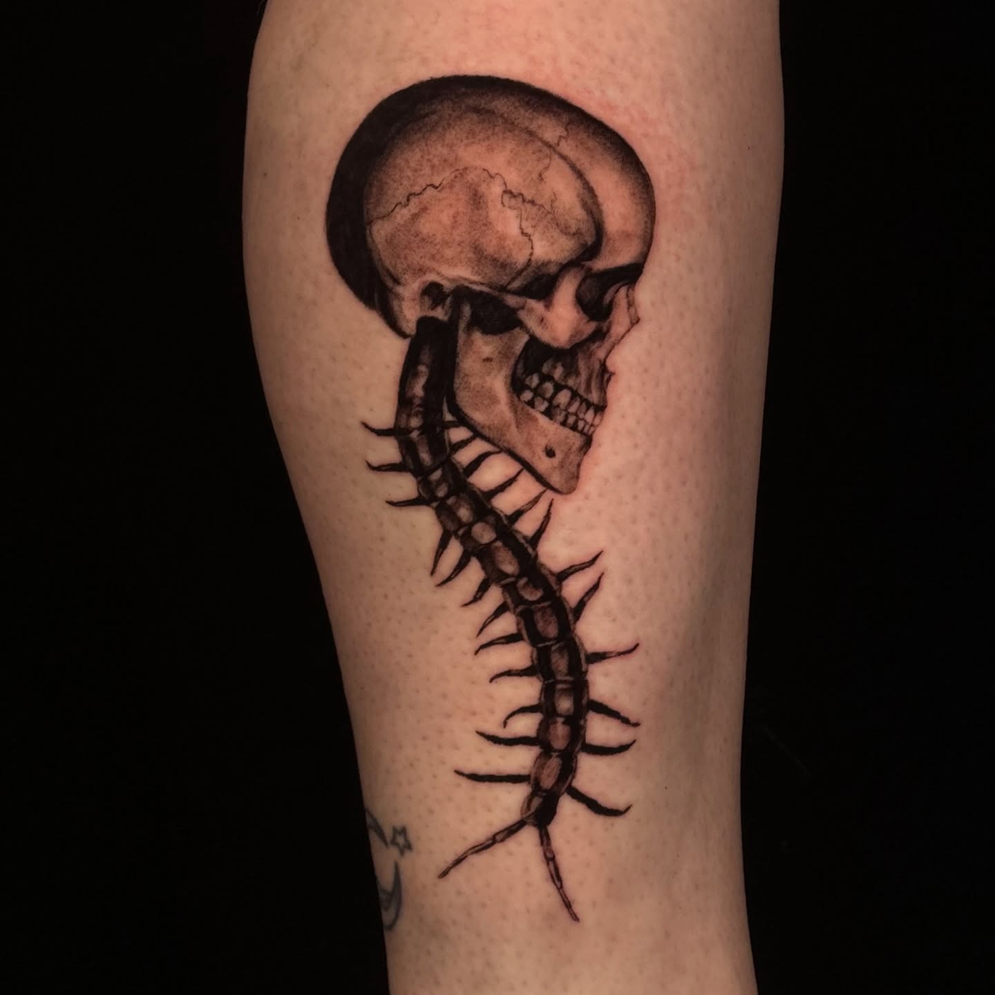 Skull and spine realism tattoo on the forearm by jordy