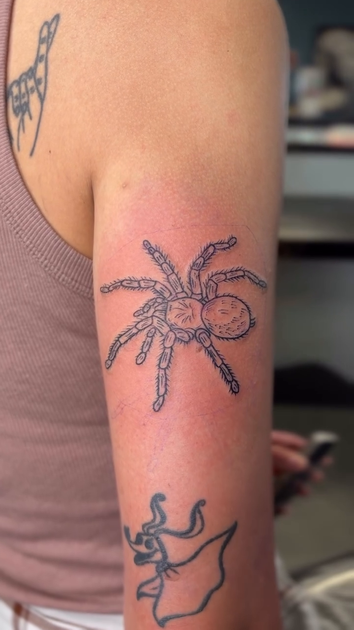 Tarantula tattoo fine line tattoo on the forearm by Jason Topliss