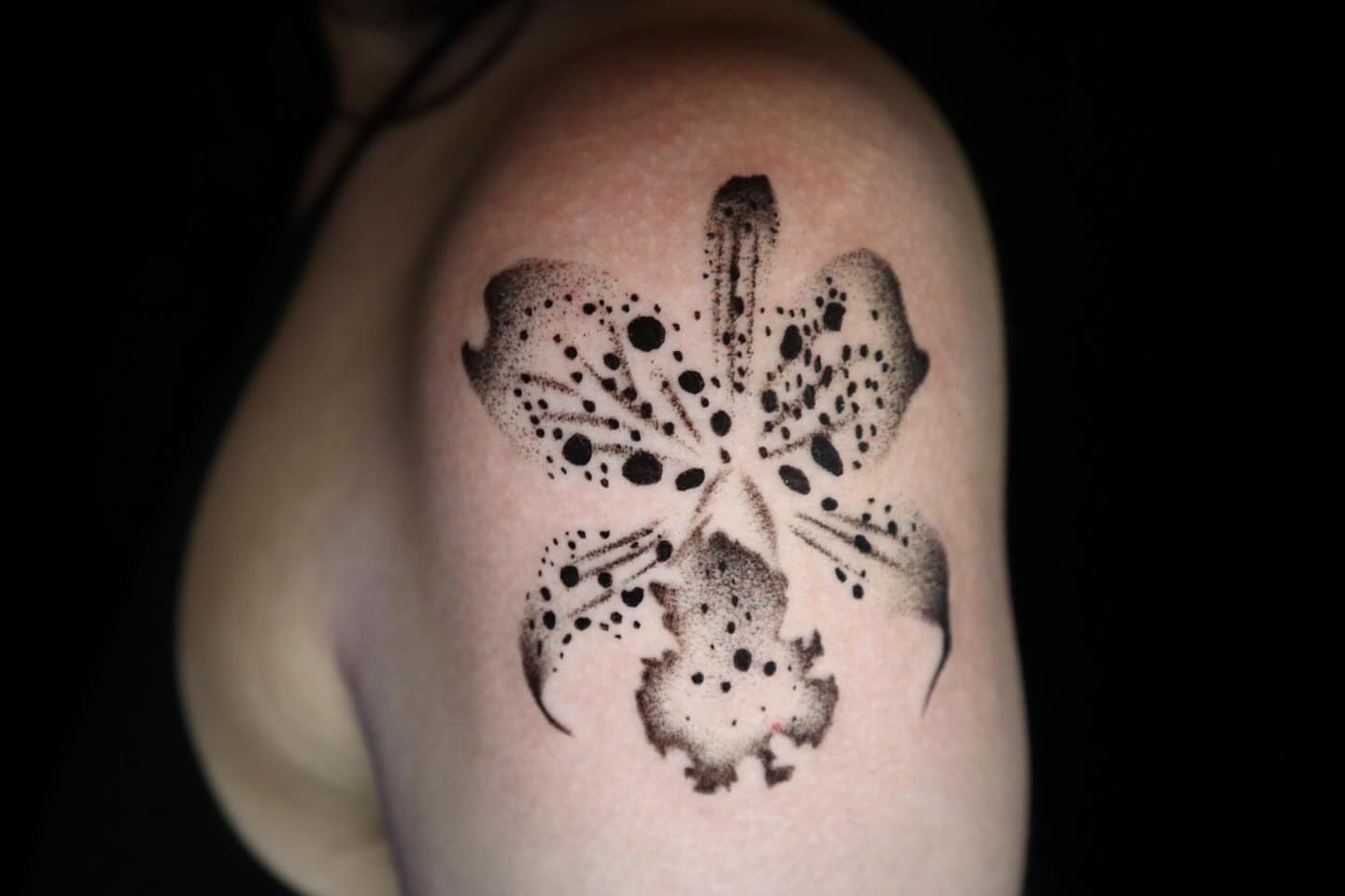 Tattoo by @inkanimalsart — dotwork