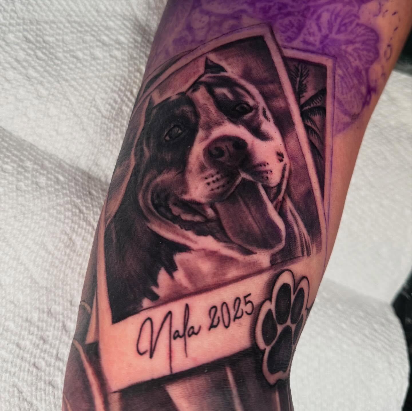 Dog portrait realism tattoo on the forearm by Drink Ink Tattoos™ 👽