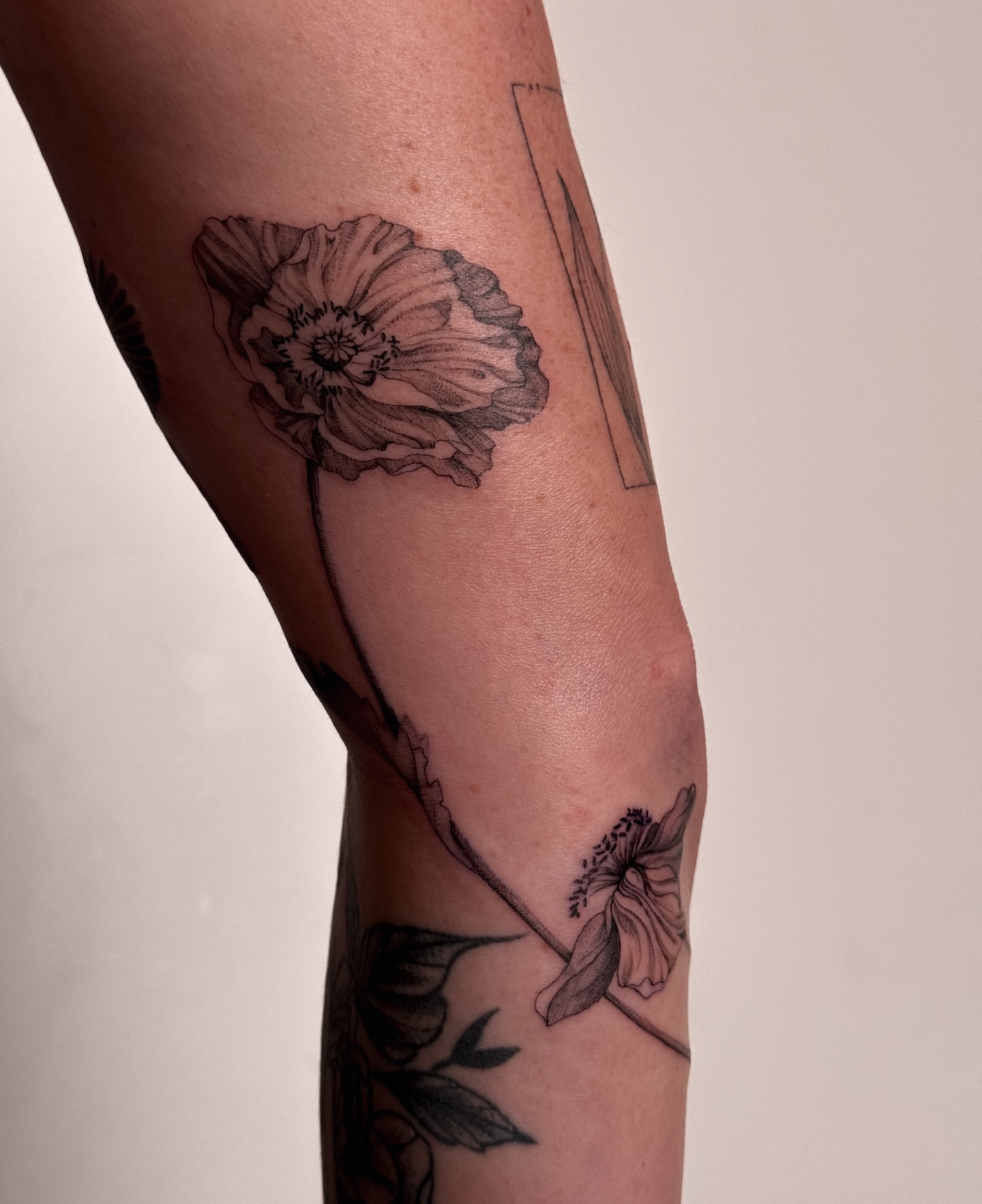 Poppy black and grey tattoo on the forearm by Floral