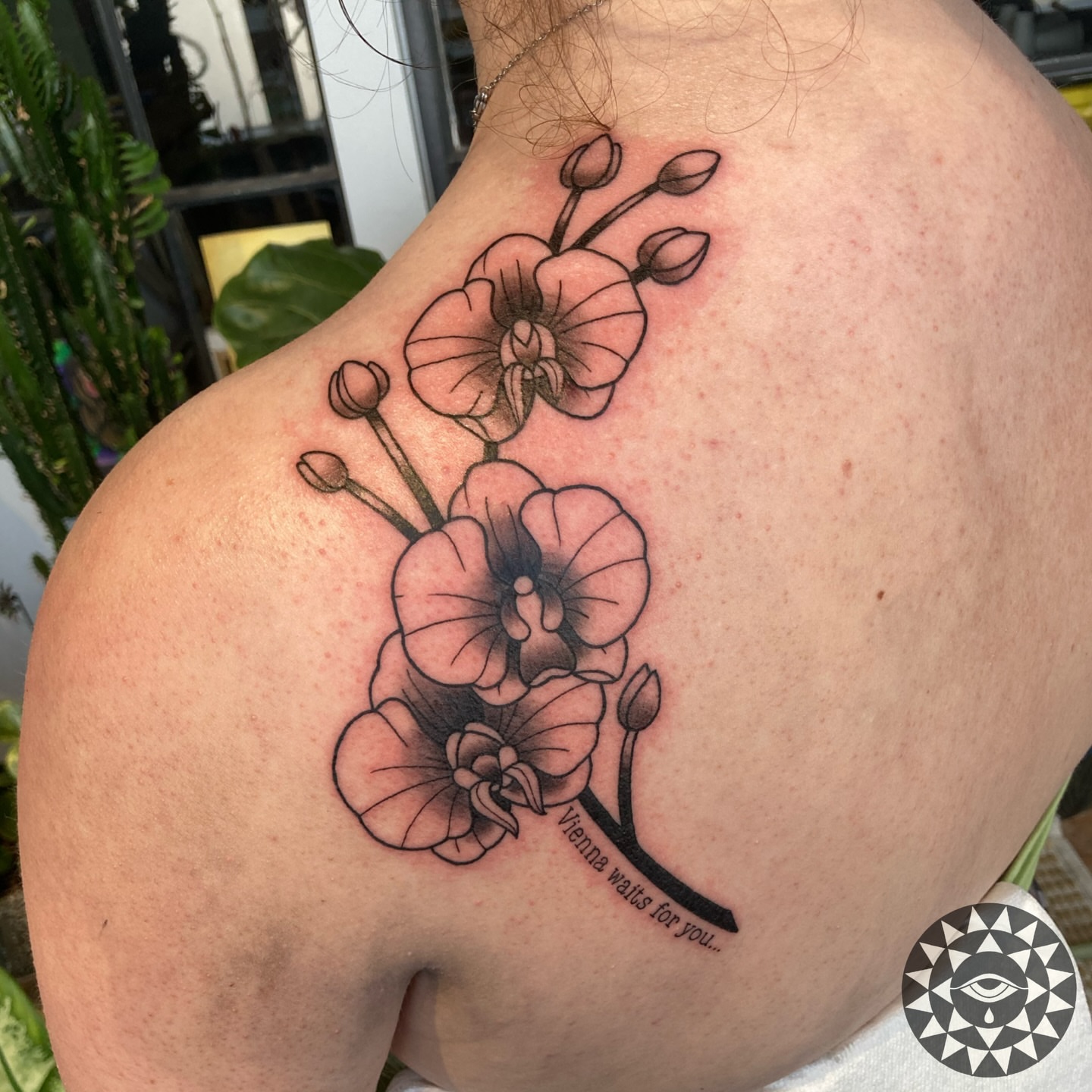 Tattoo by @chelsartistry — black_and_grey