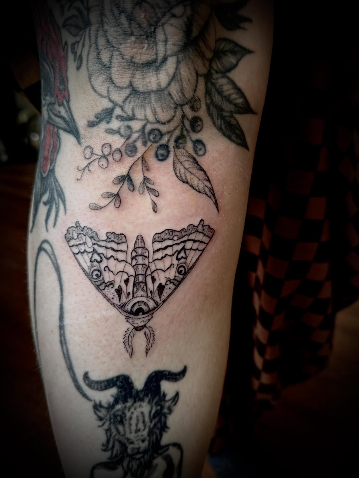 Moth black and grey tattoo on the forearm by Christen Wolfe CA Tattooer
