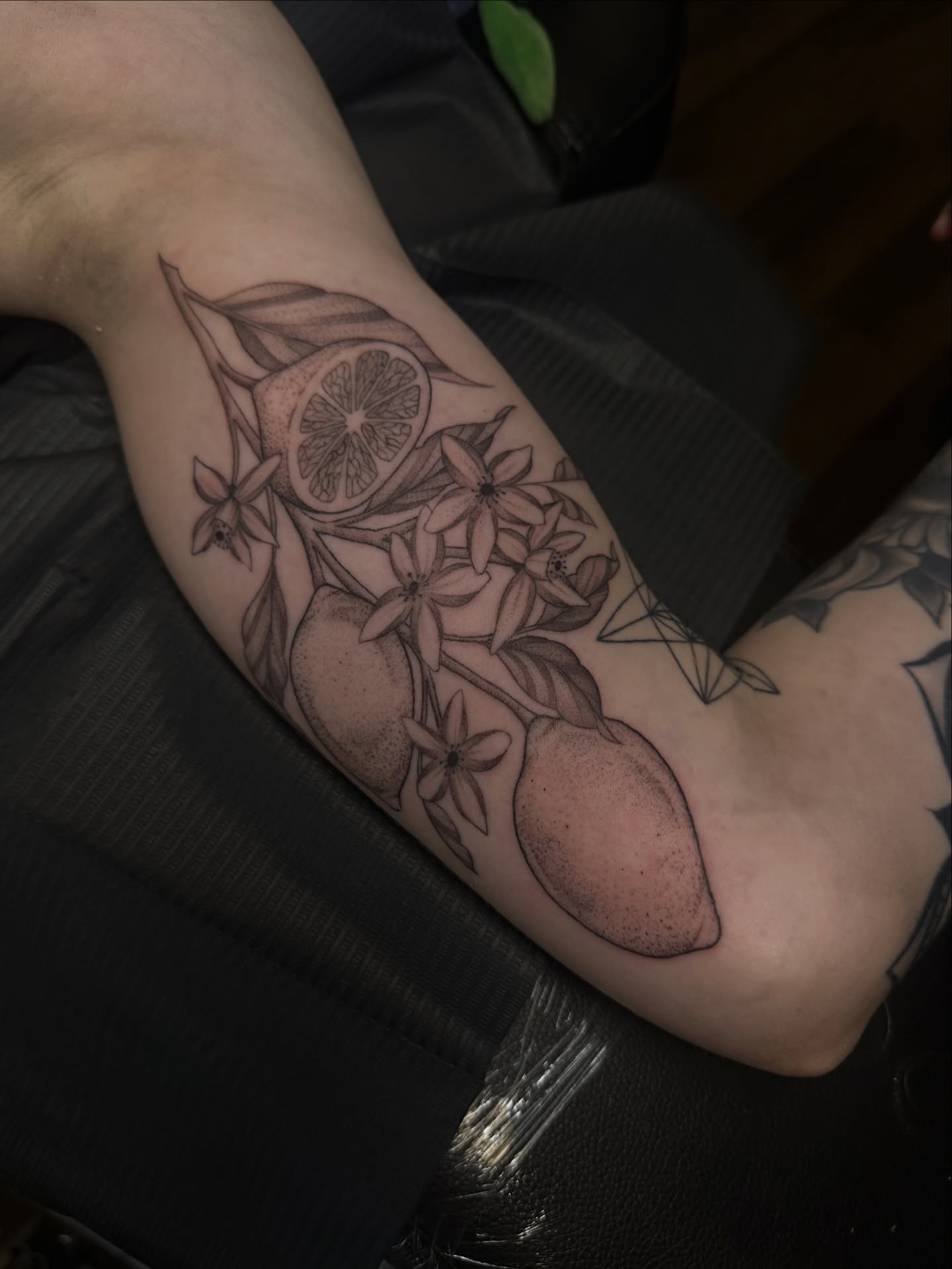 Citrus fruit and flowers realism tattoo on the forearm by Priscilla Michels
