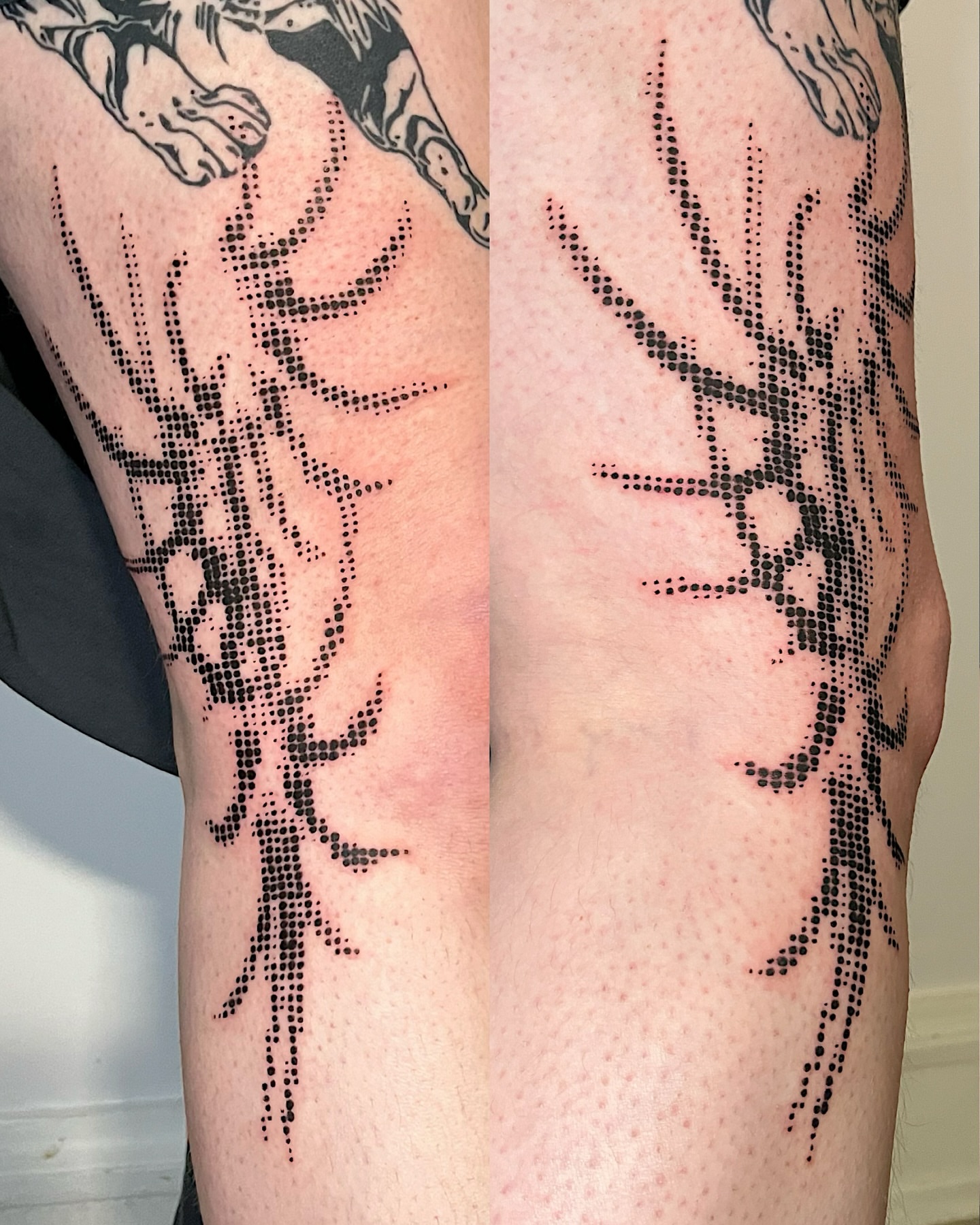 Tree dotwork tattoo on the forearm by Azucena