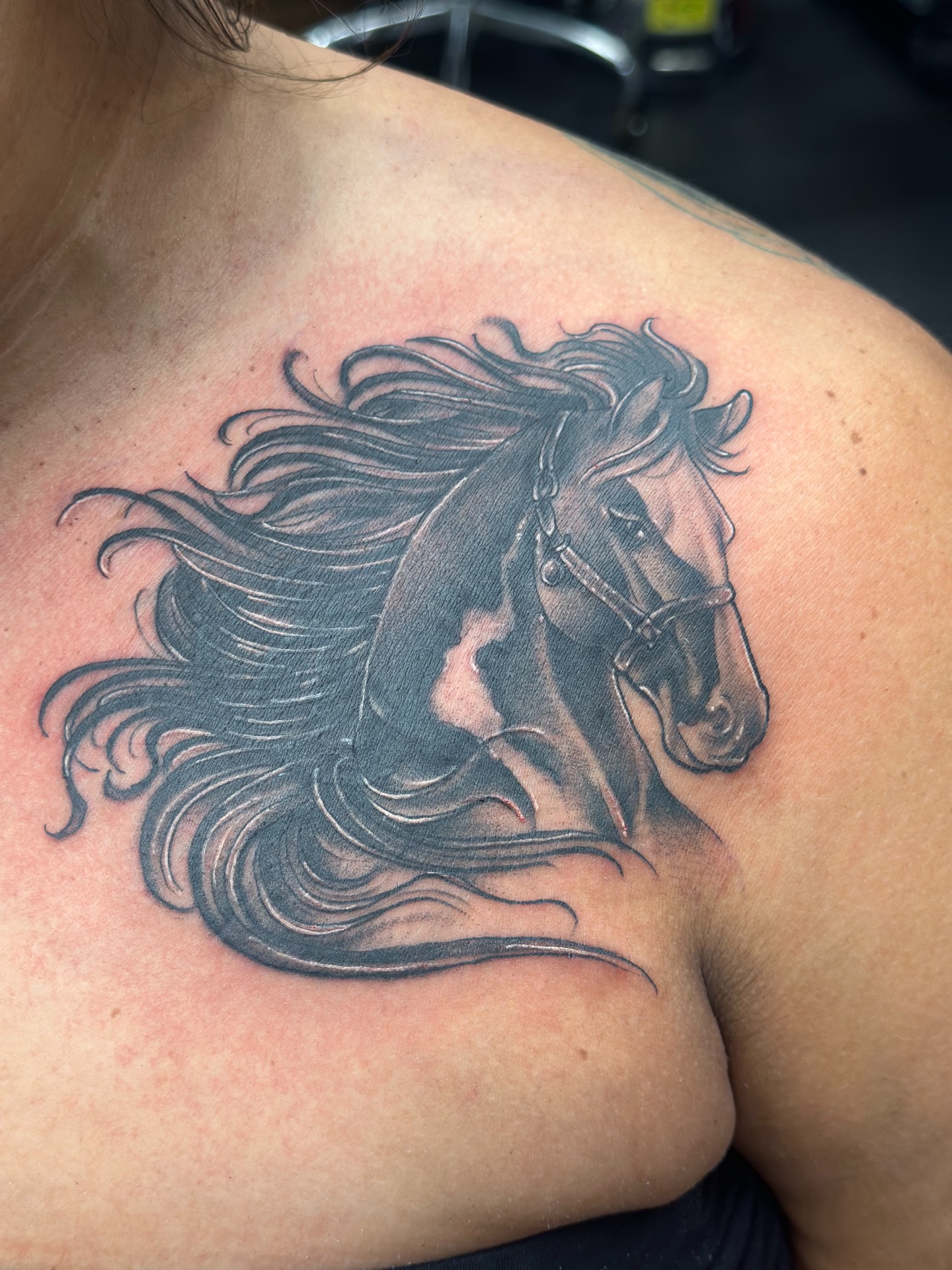 Horse realism tattoo on the shoulder by Stevie O'Dell