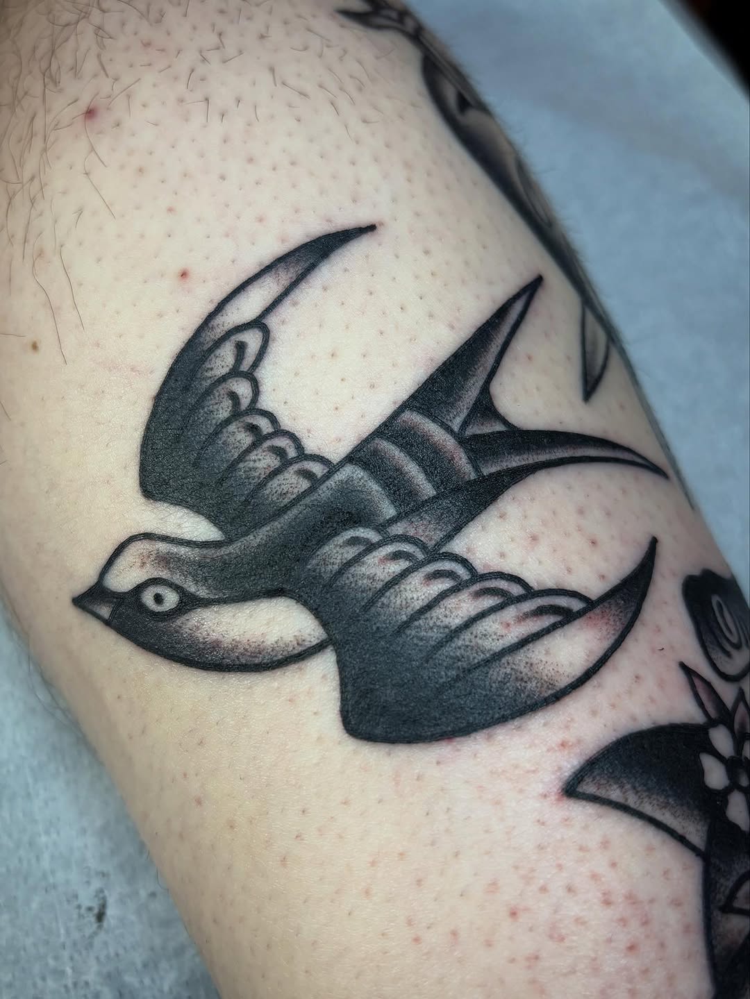 Swallow bird fine line tattoo on the forearm by Tom Wenzell