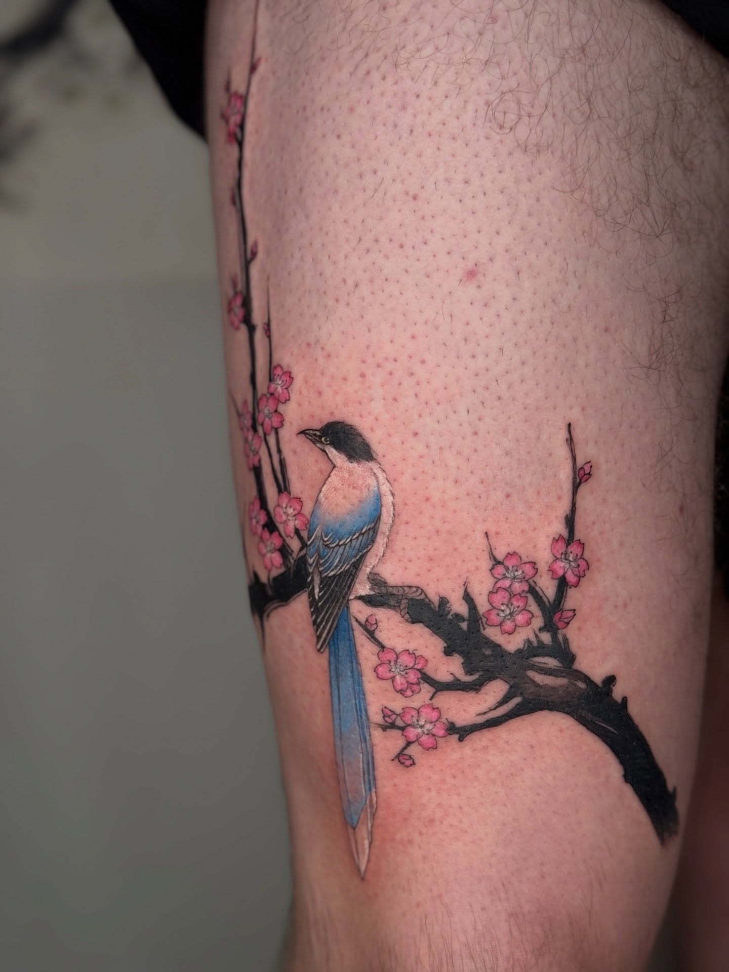 Bird and cherry blossoms dotwork tattoo on the thigh by ink by kimmy ☾⋆⁺₊⋆