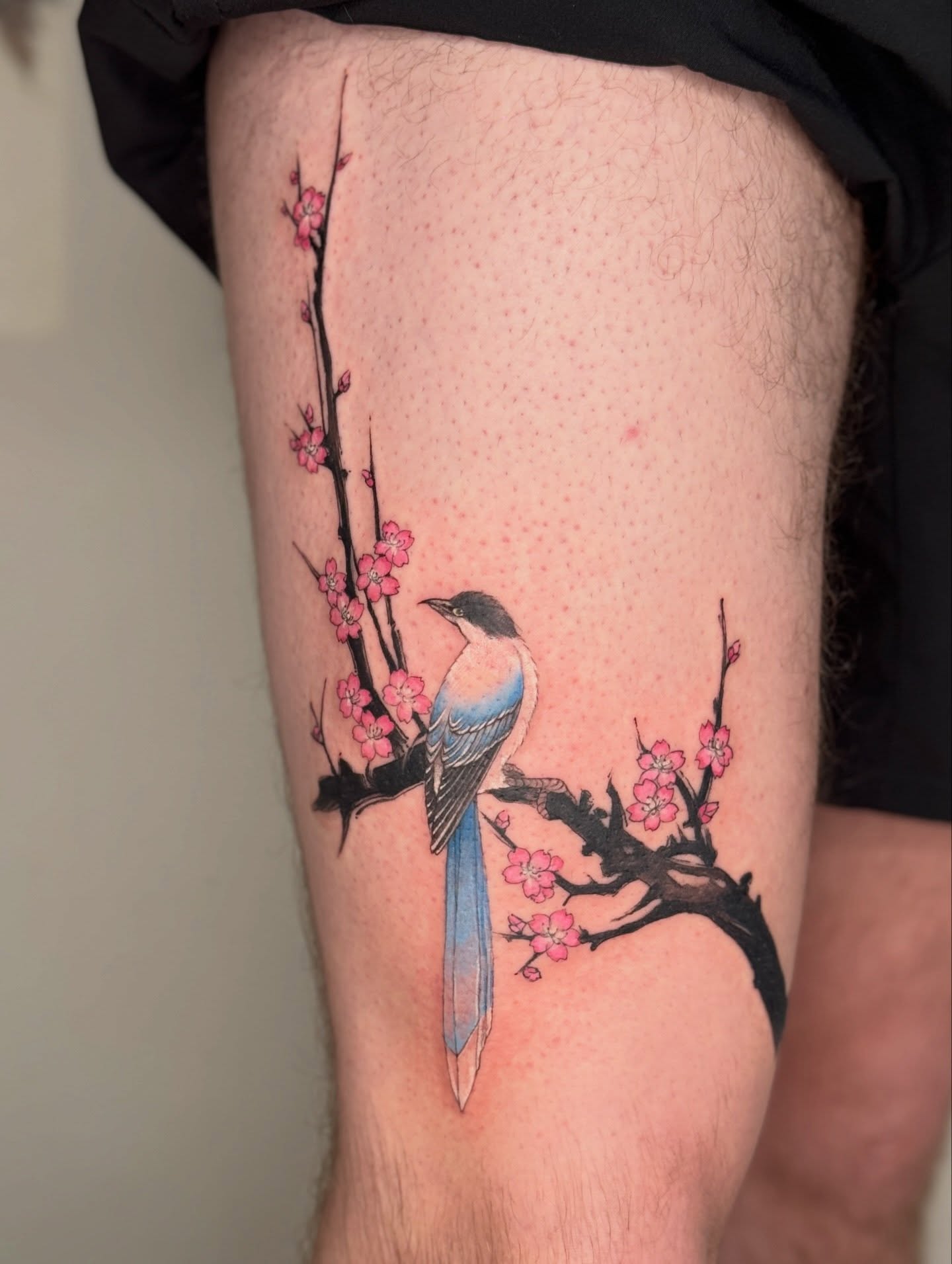 Bird and cherry blossoms dotwork tattoo on the thigh by ink by kimmy ☾⋆⁺₊⋆