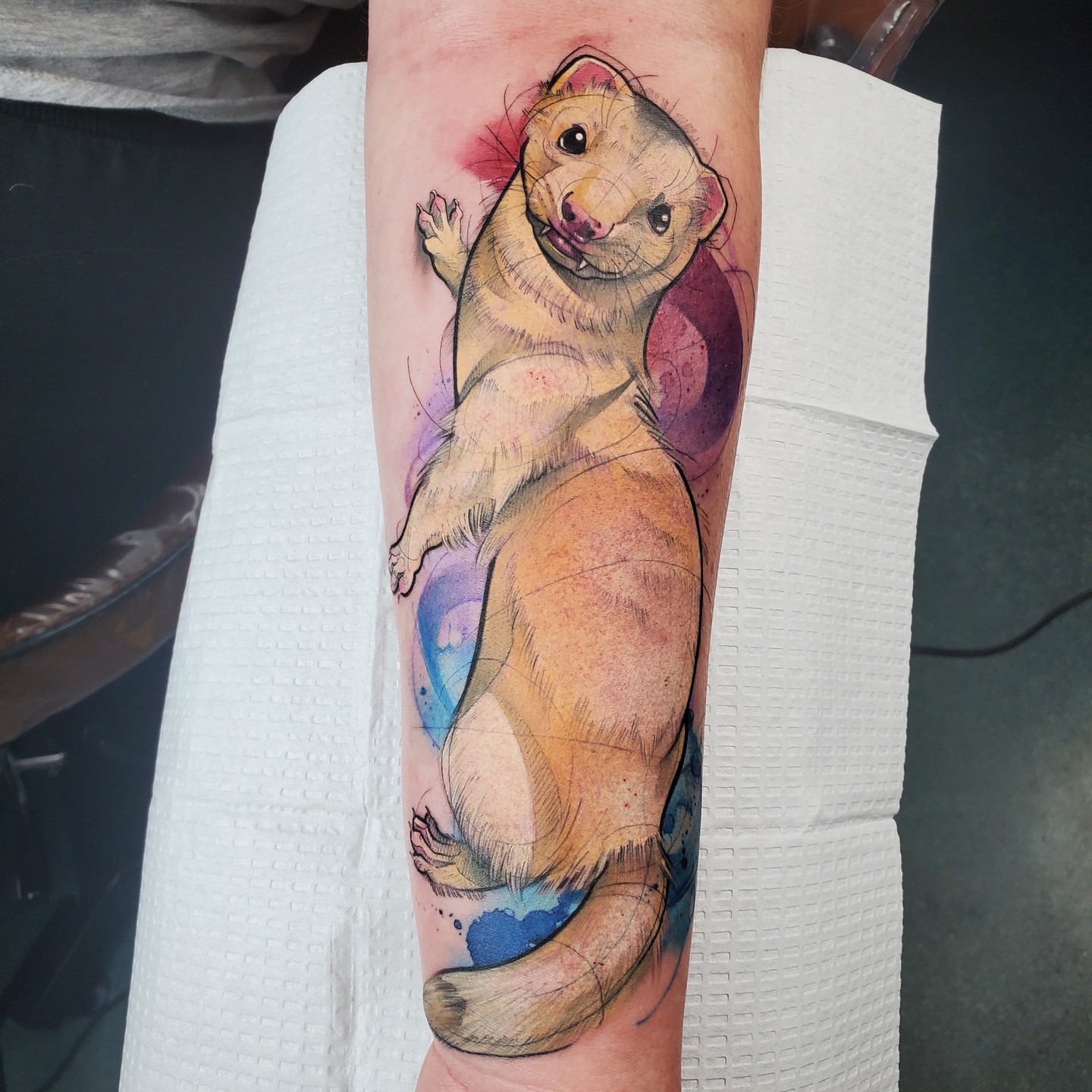 Ferret watercolor tattoo on the forearm by Jorell Elie