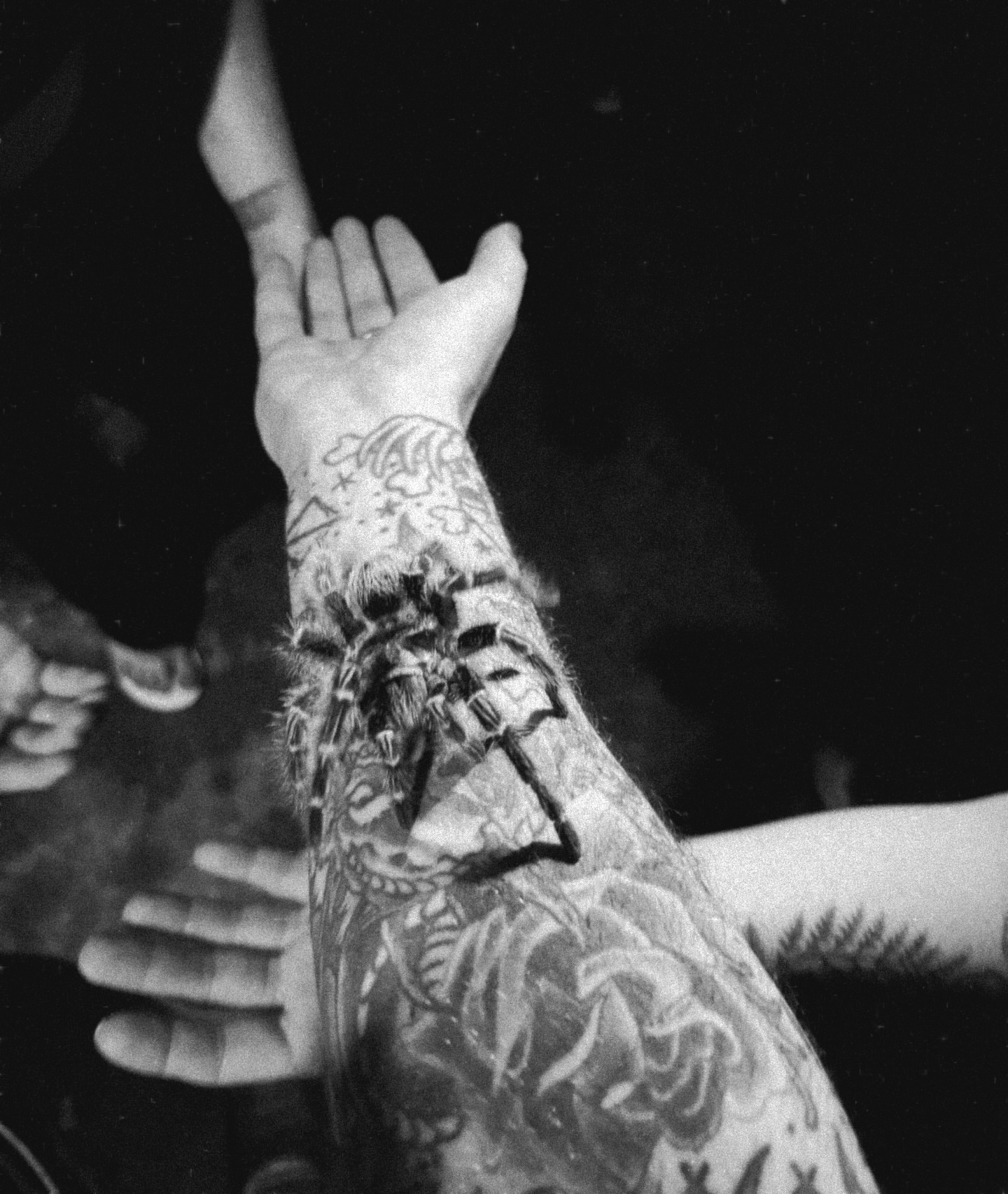 Tattoo by @mattbrookstattoo — black_and_grey