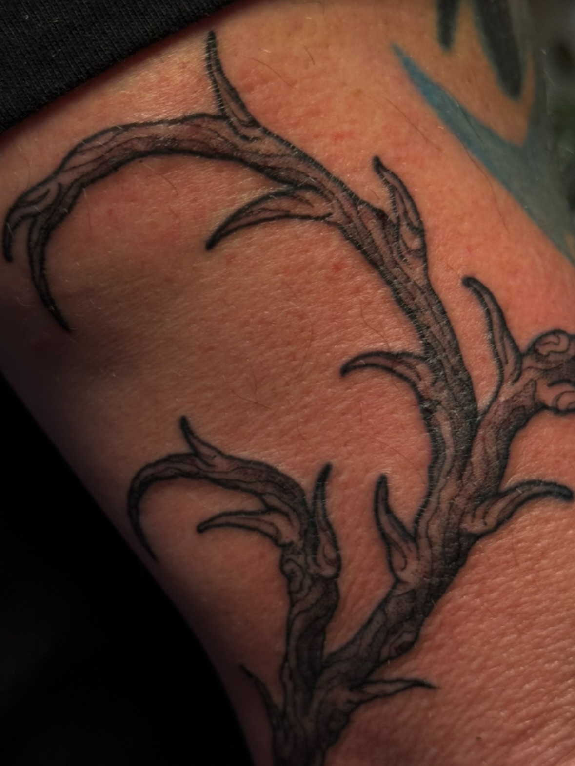 Antlers black and grey tattoo on the forearm by jess jené jones, Portland, Oregon