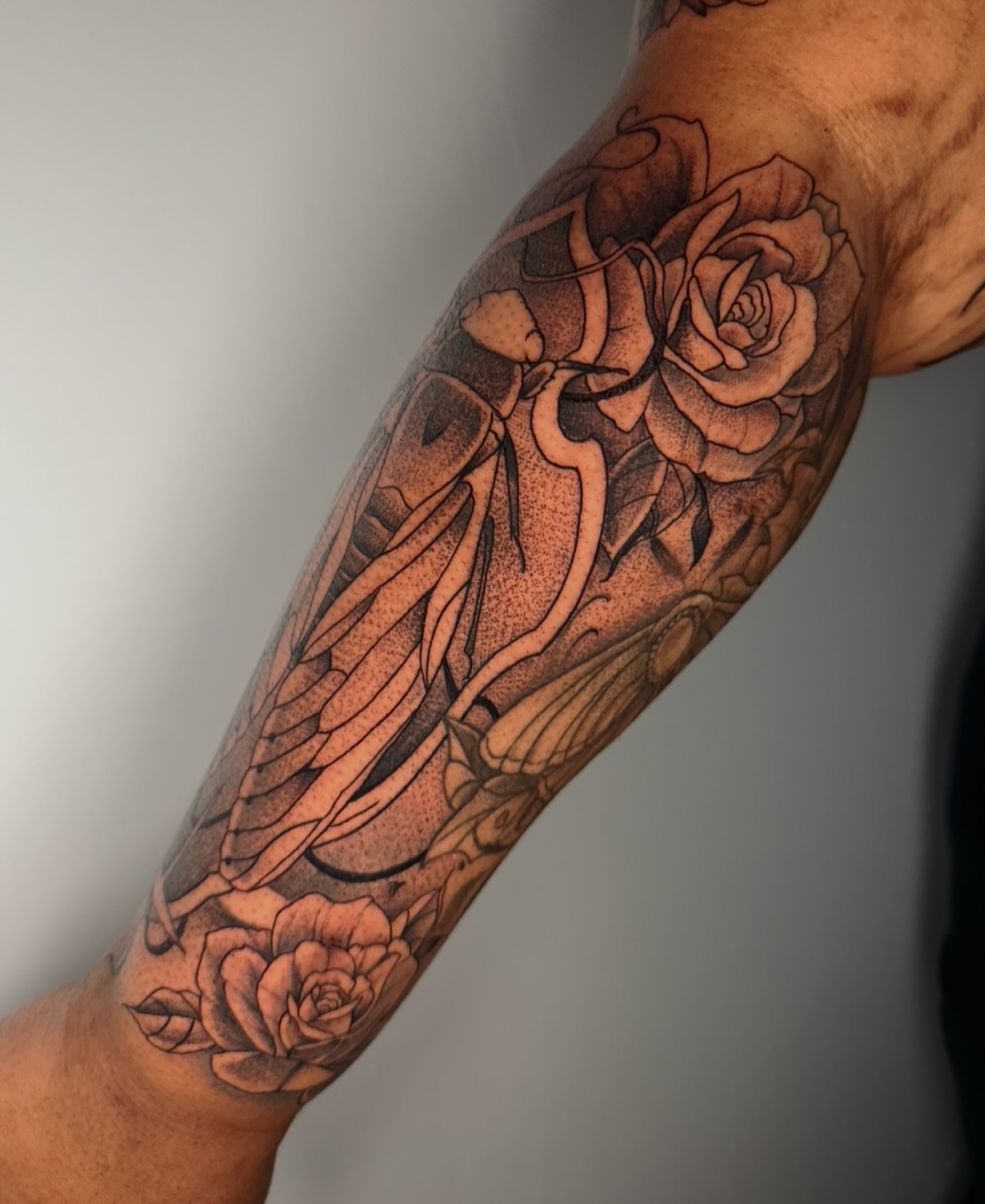 Rose and butterfly dotwork tattoo on the forearm by zoe mars