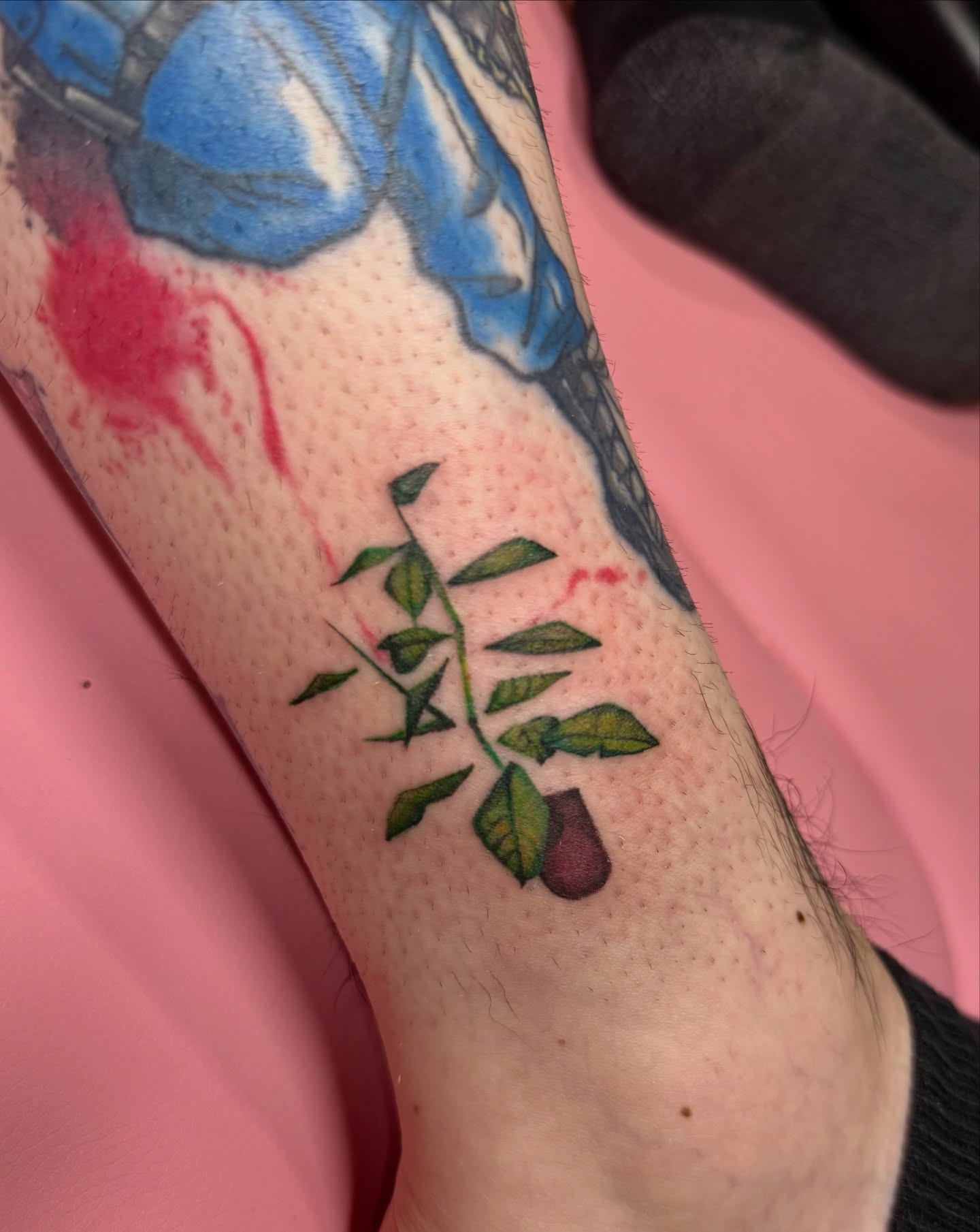 Bud and leaves dotwork tattoo on the forearm by Jynx