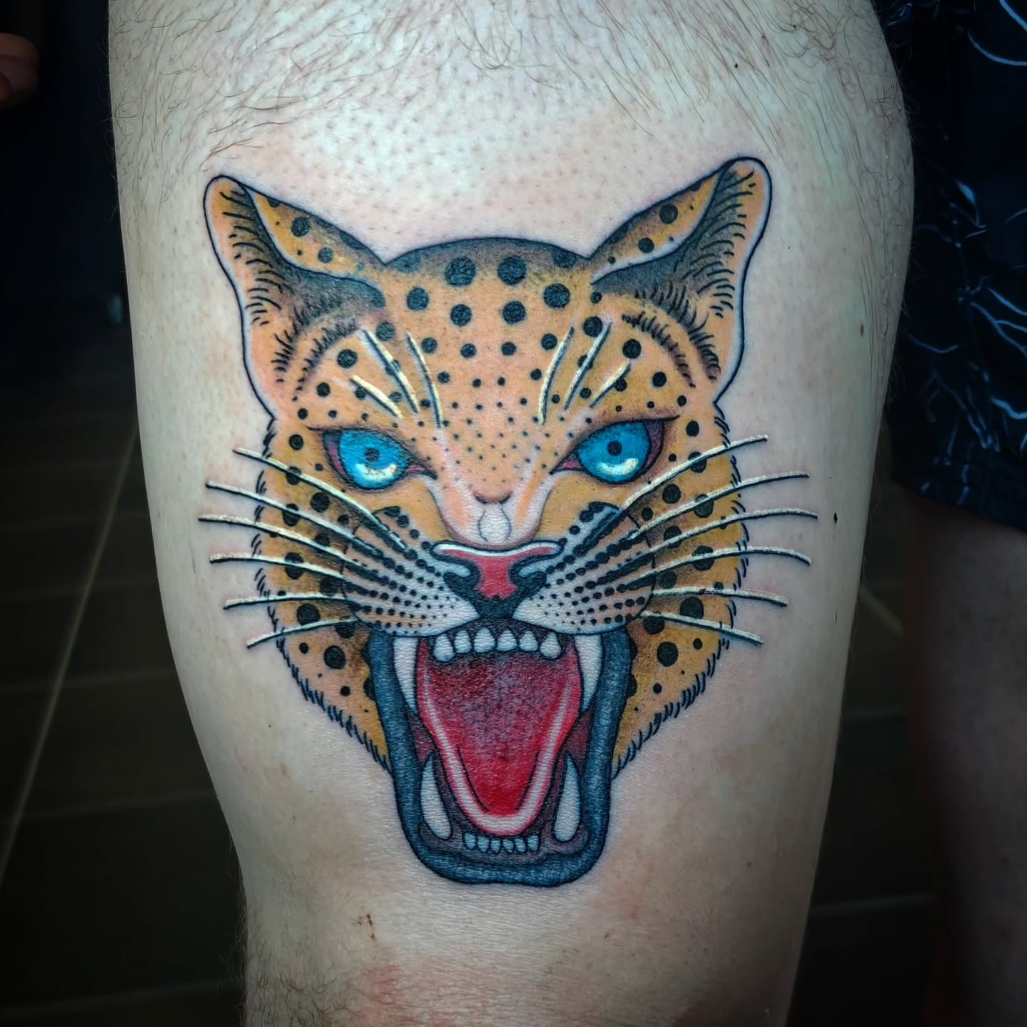Leopard American traditional tattoo on the thigh by Tattoos by Reed Blount