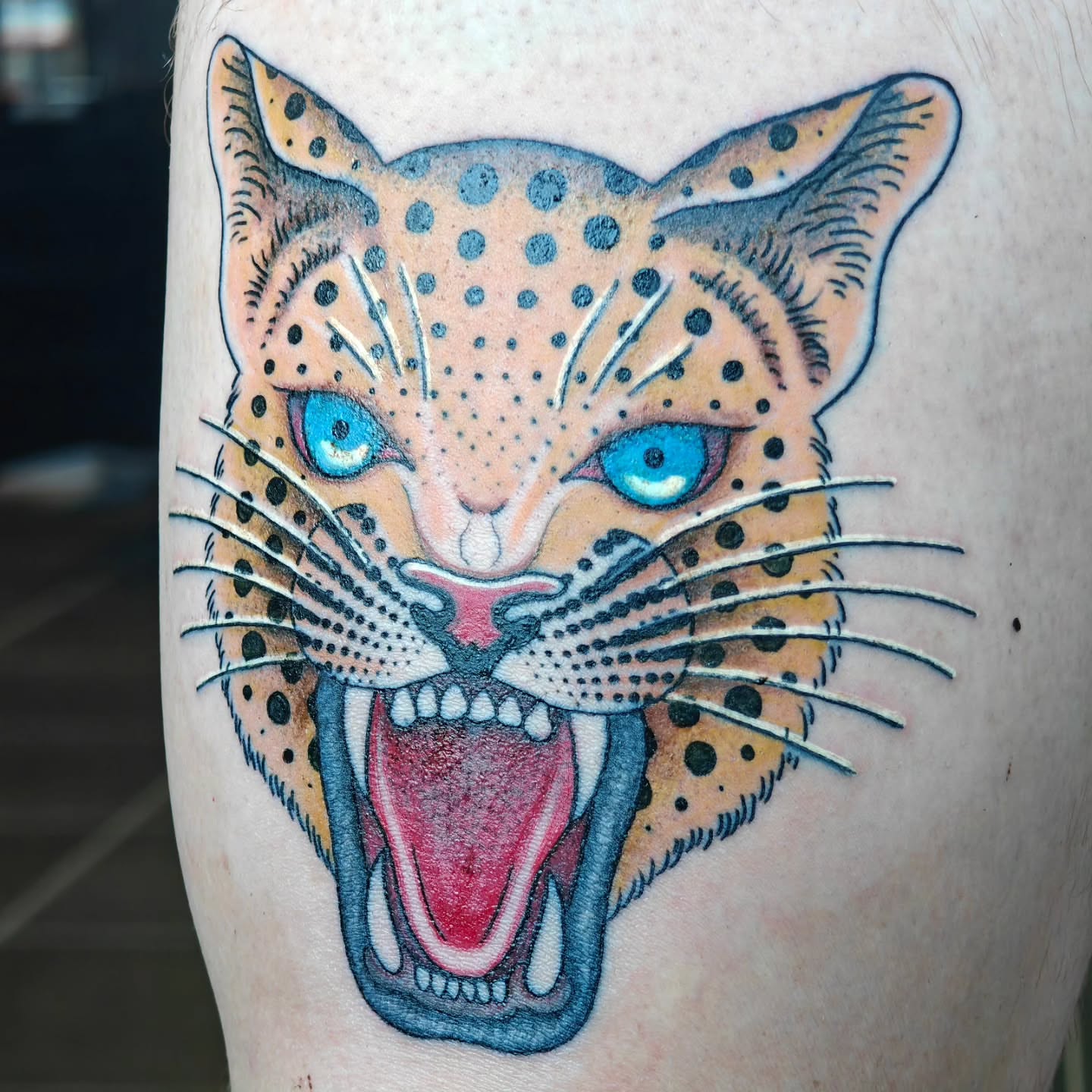 Jaguar American traditional tattoo on the thigh by Tattoos by Reed Blount