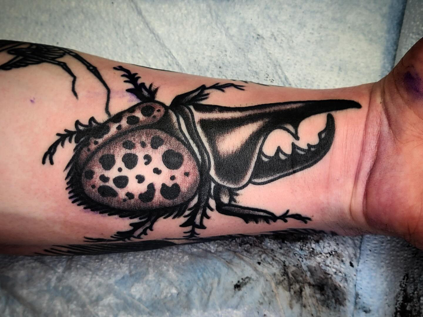 Beetle black and grey tattoo on the forearm by joe martinez, Denver, Colorado