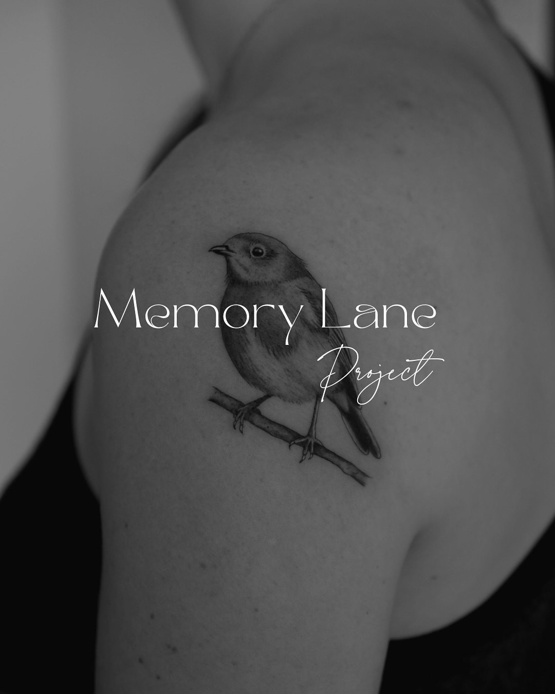 Bird realism tattoo on the shoulder by Haley Sayers
