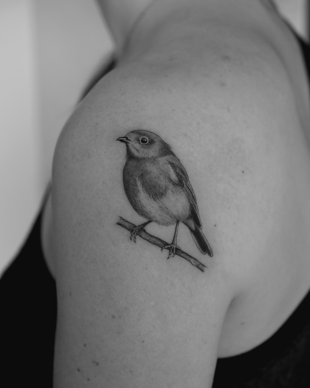 Bird realism tattoo on the shoulder by Haley Sayers