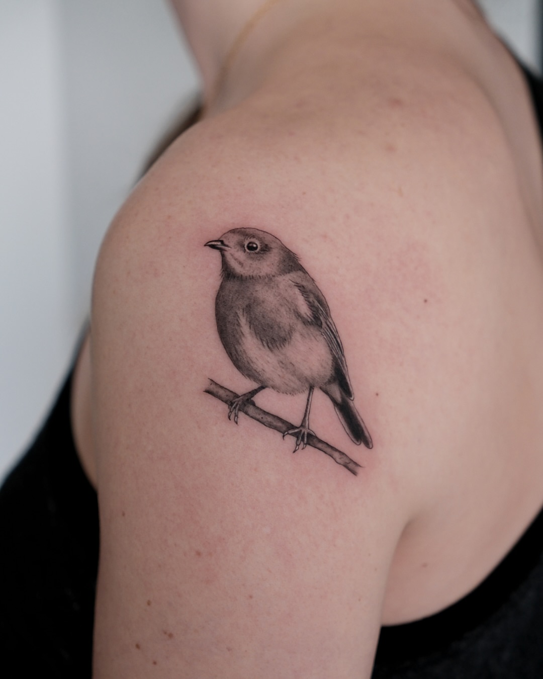Bird realism tattoo on the shoulder by Haley Sayers