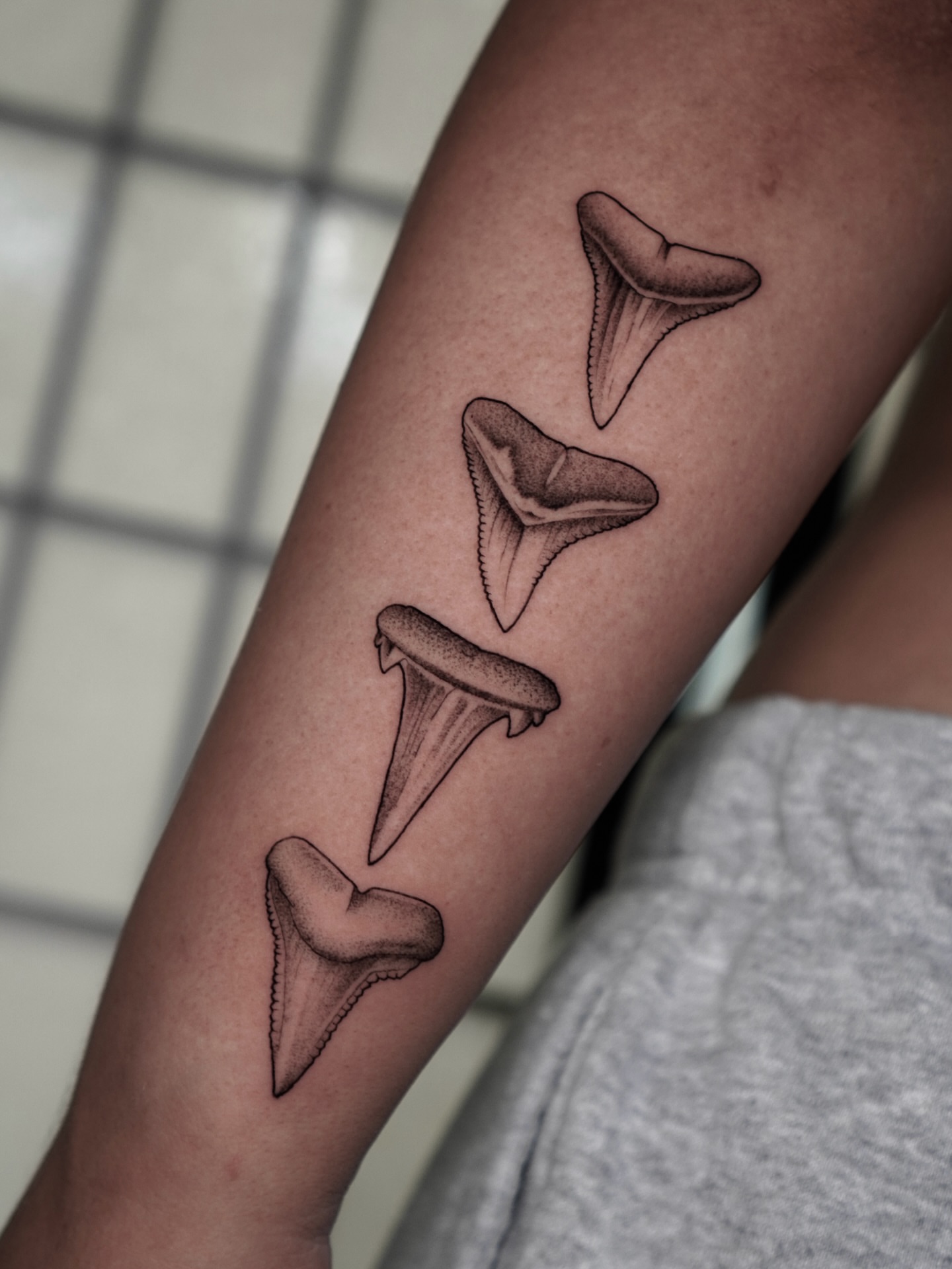Shark teeth dotwork tattoo on the forearm by Carlos Abad