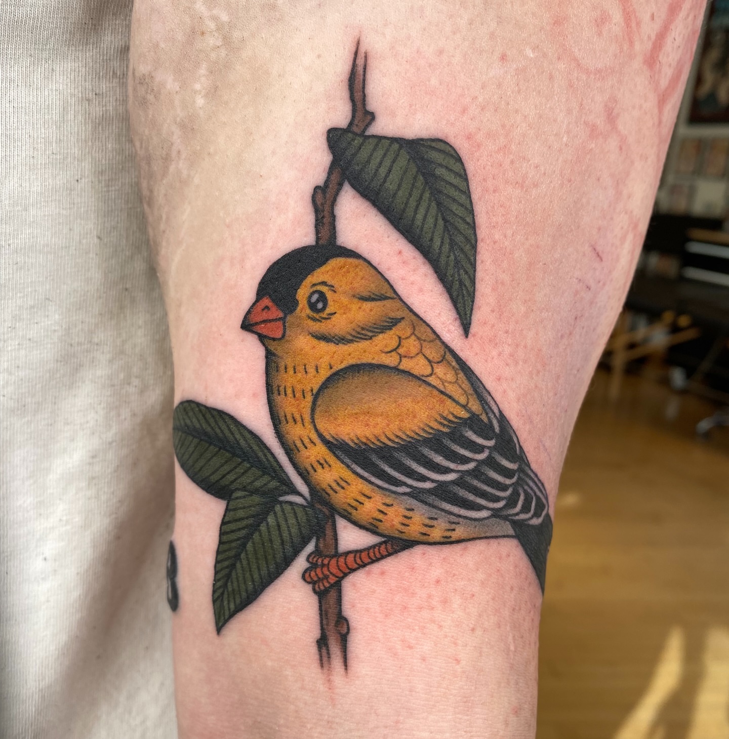 Bird American traditional tattoo on the forearm by Will Allan Columbus tattoo artist
