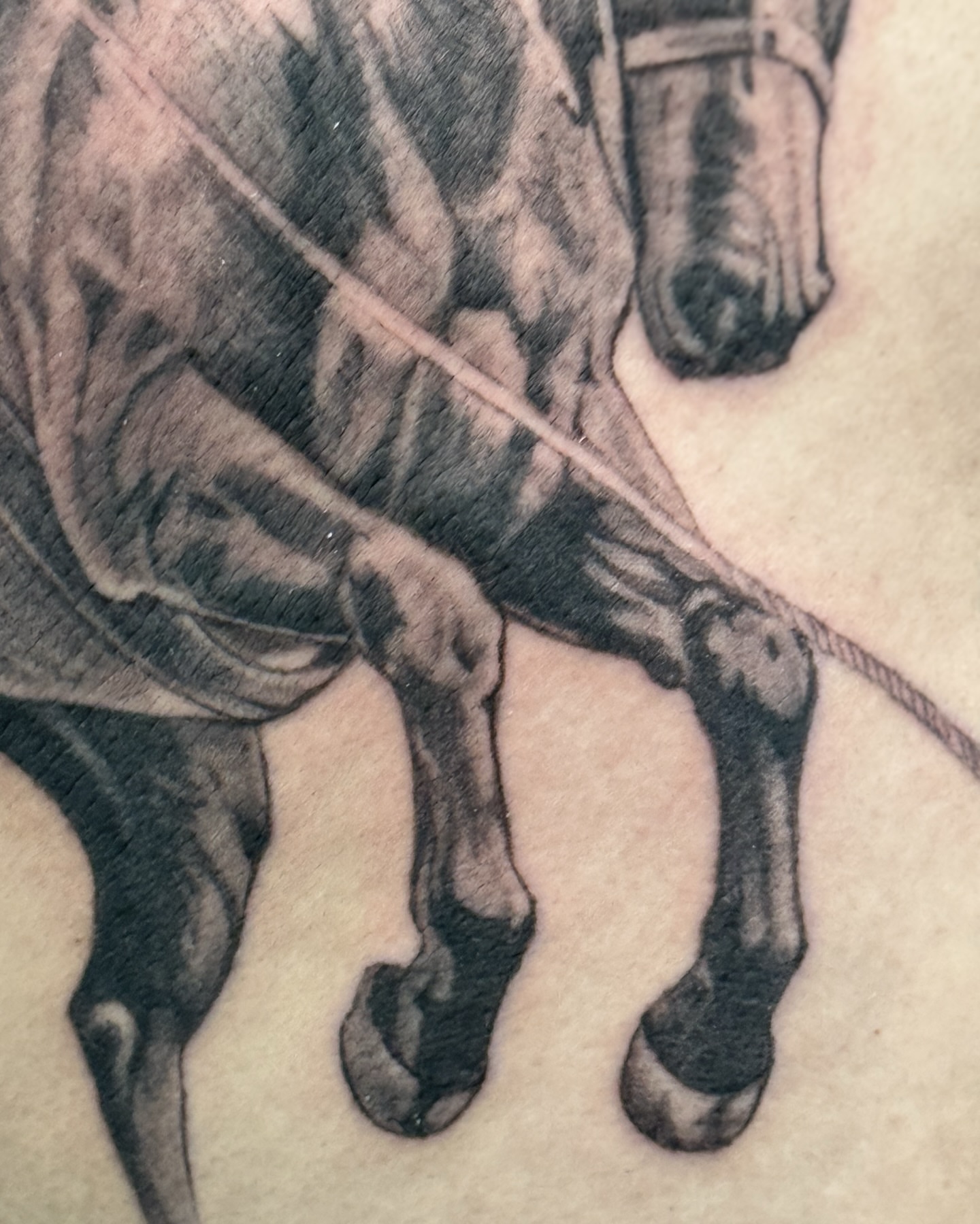 Horse black and grey tattoo on the upper arm by Brows & Tattoos