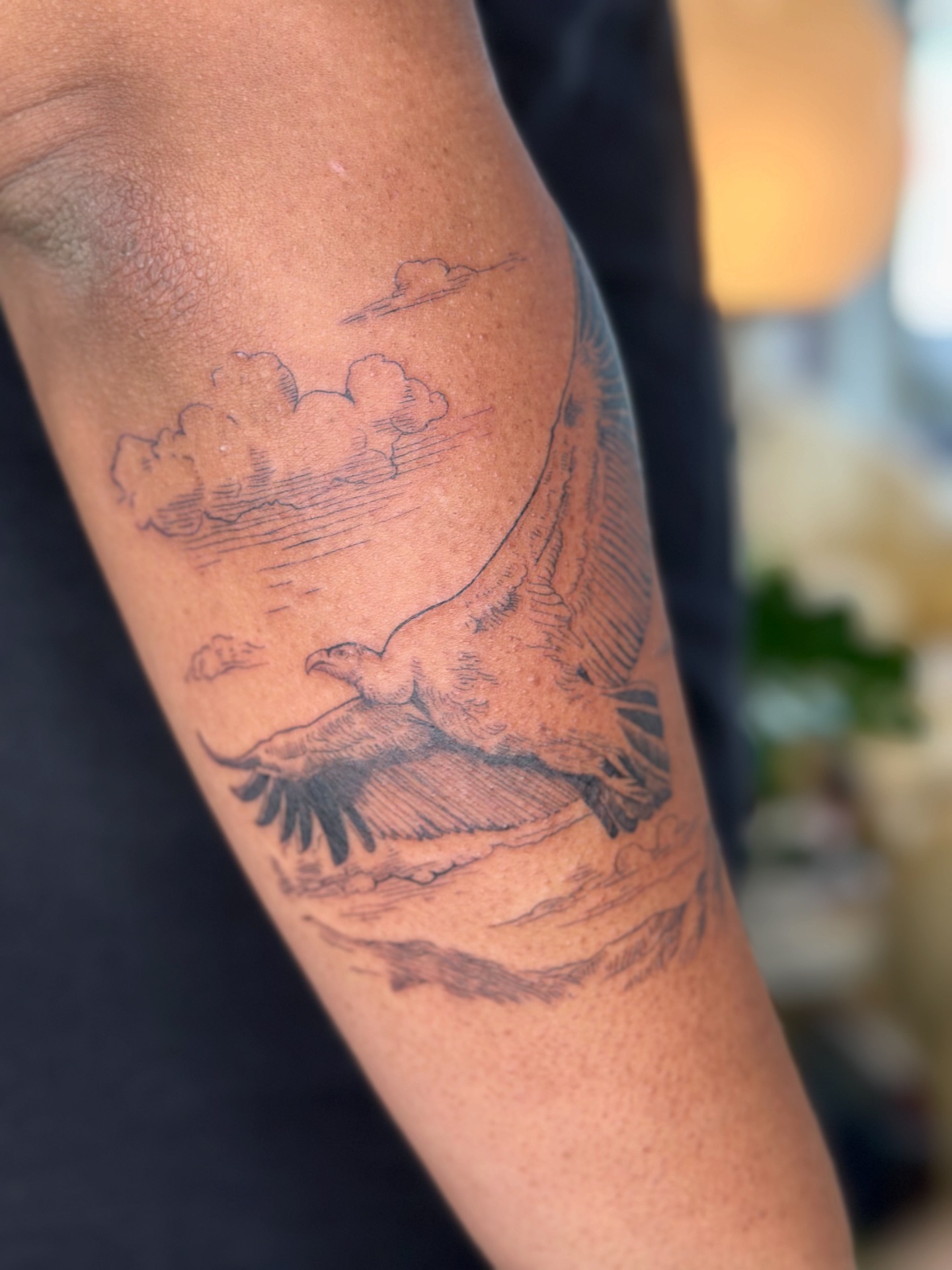 Eagle black and grey tattoo on the forearm by 𝗠𝗶𝗱𝗻𝗶𝗴𝗵𝘁 〰️ 𝕄𝕠𝕠𝕟𝕝𝕚𝕘𝕙𝕥
