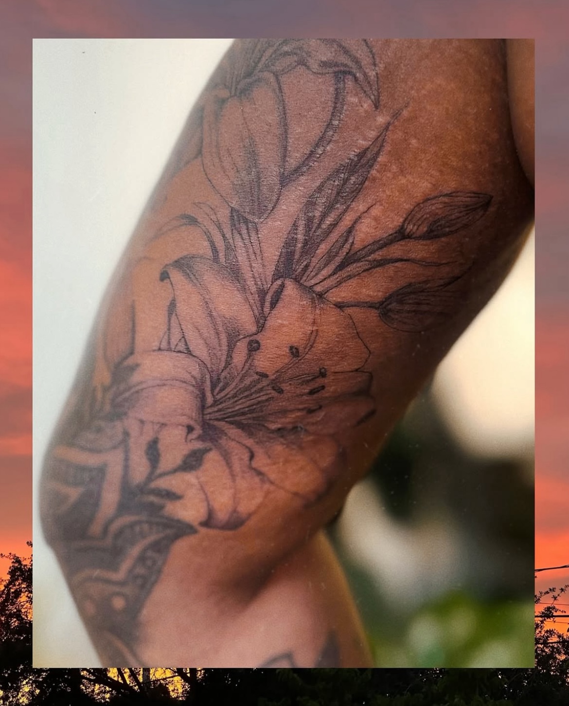 Lilies black and grey tattoo on the forearm by 𝗠𝗶𝗱𝗻𝗶𝗴𝗵𝘁 〰️ 𝕄𝕠𝕠𝕟𝕝𝕚𝕘𝕙𝕥