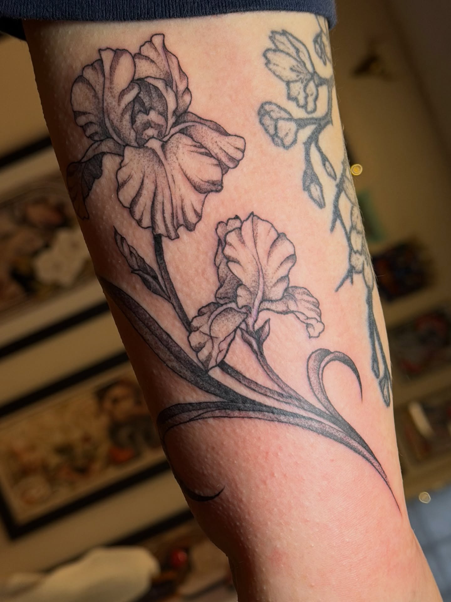 Iris flowers black and grey tattoo on the forearm by Gianna Calisi